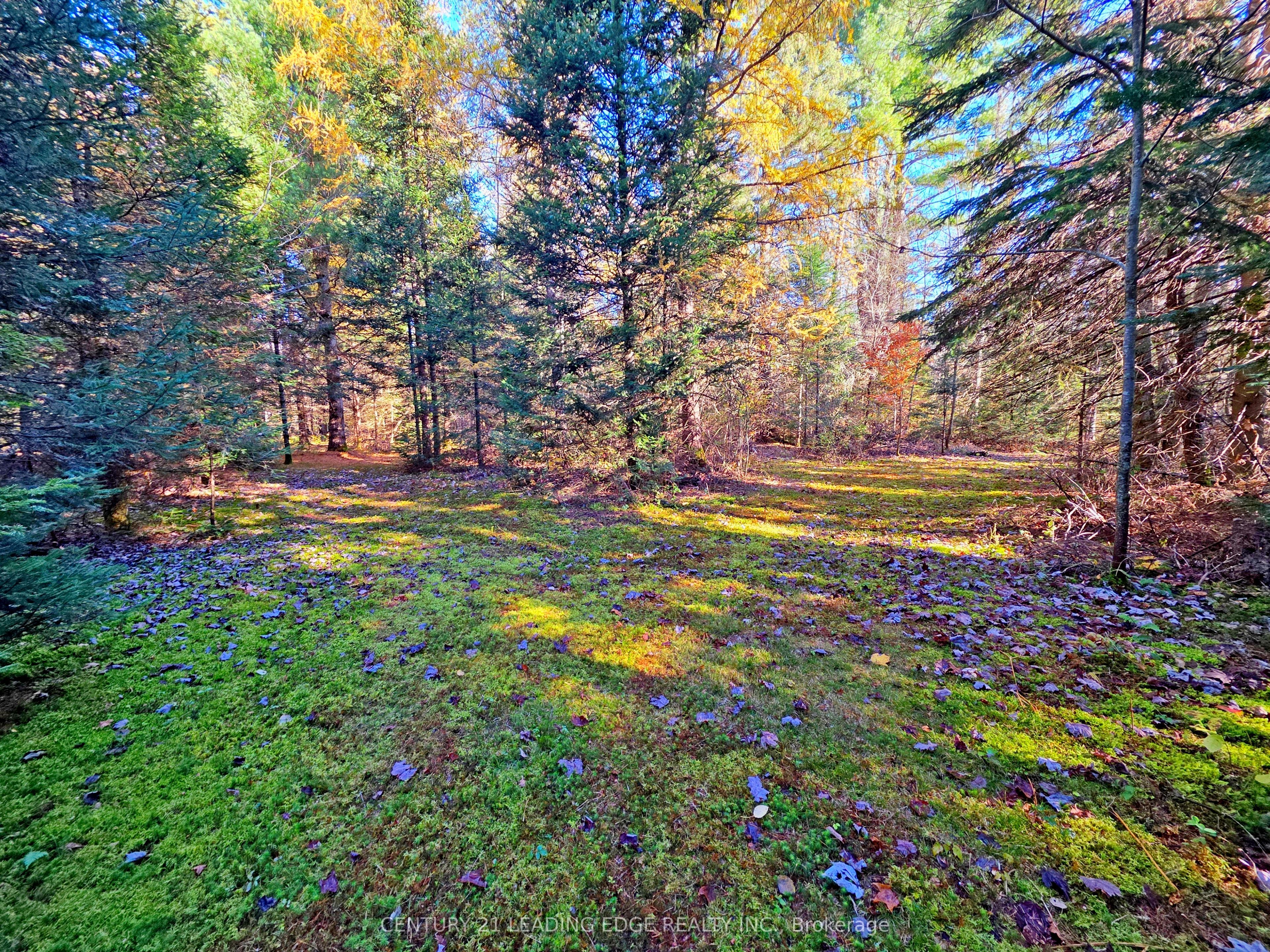893 Yearley Road Property Photo 4