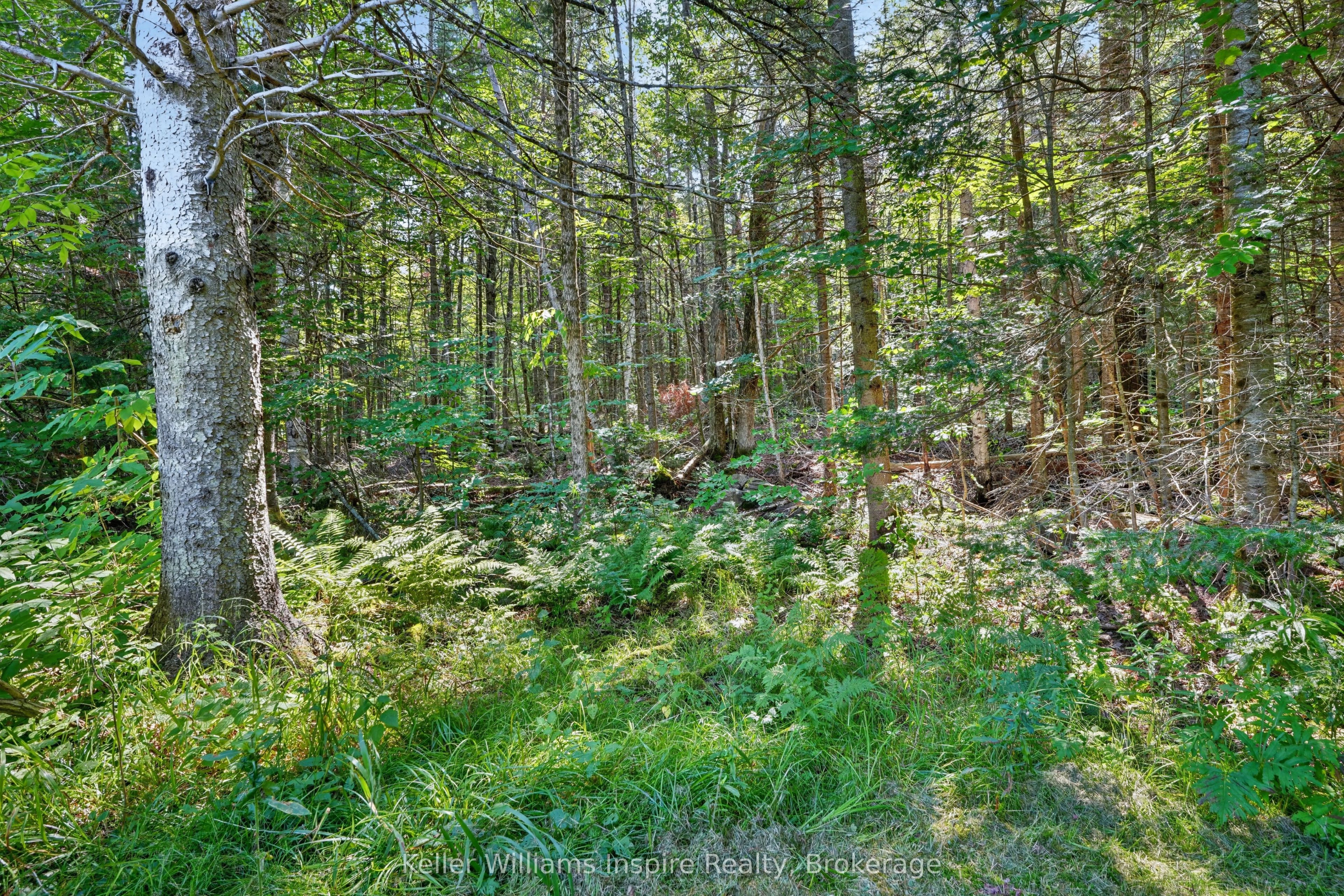 3044 Loop Road Property Photo 20