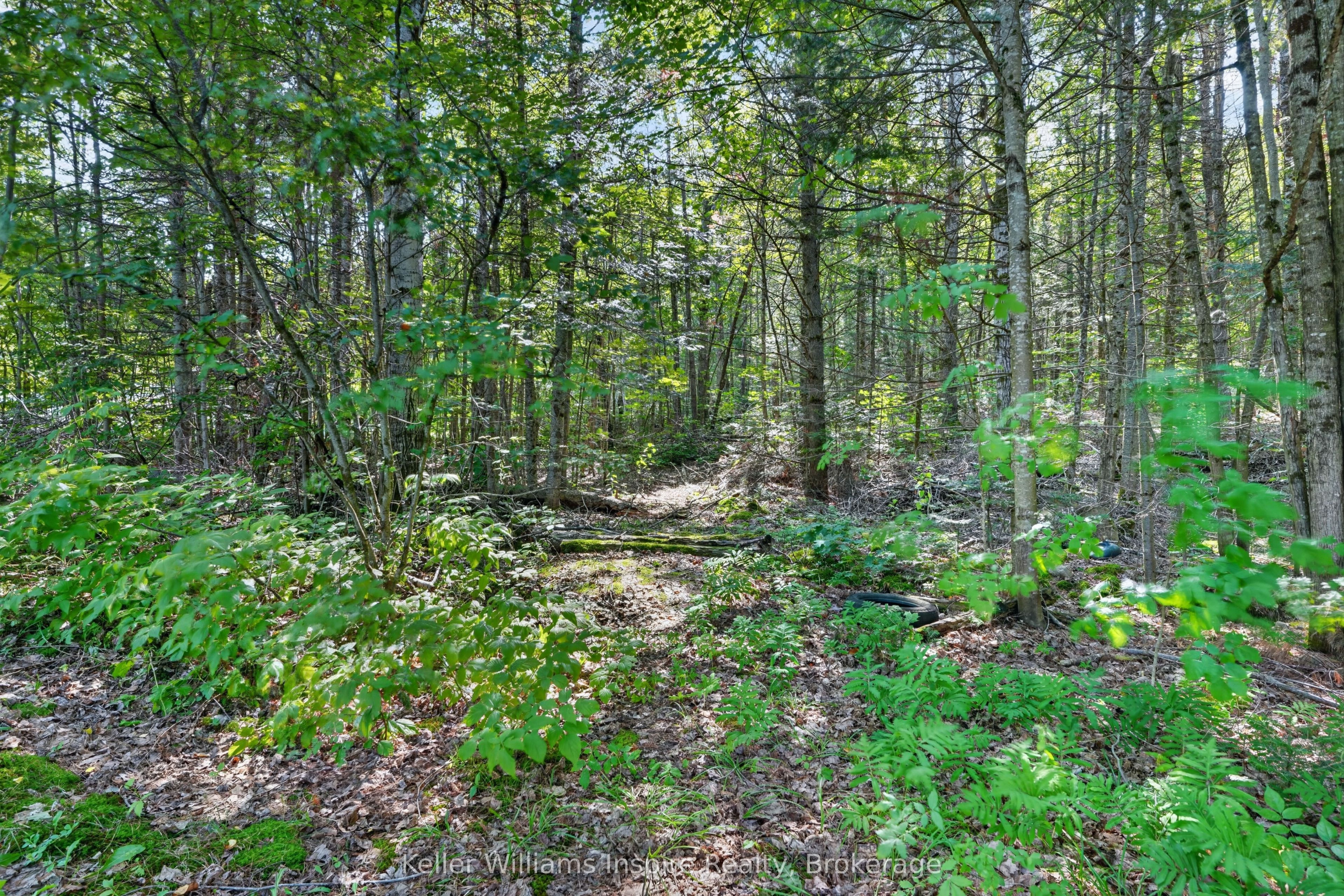 3044 Loop Road Property Photo 21