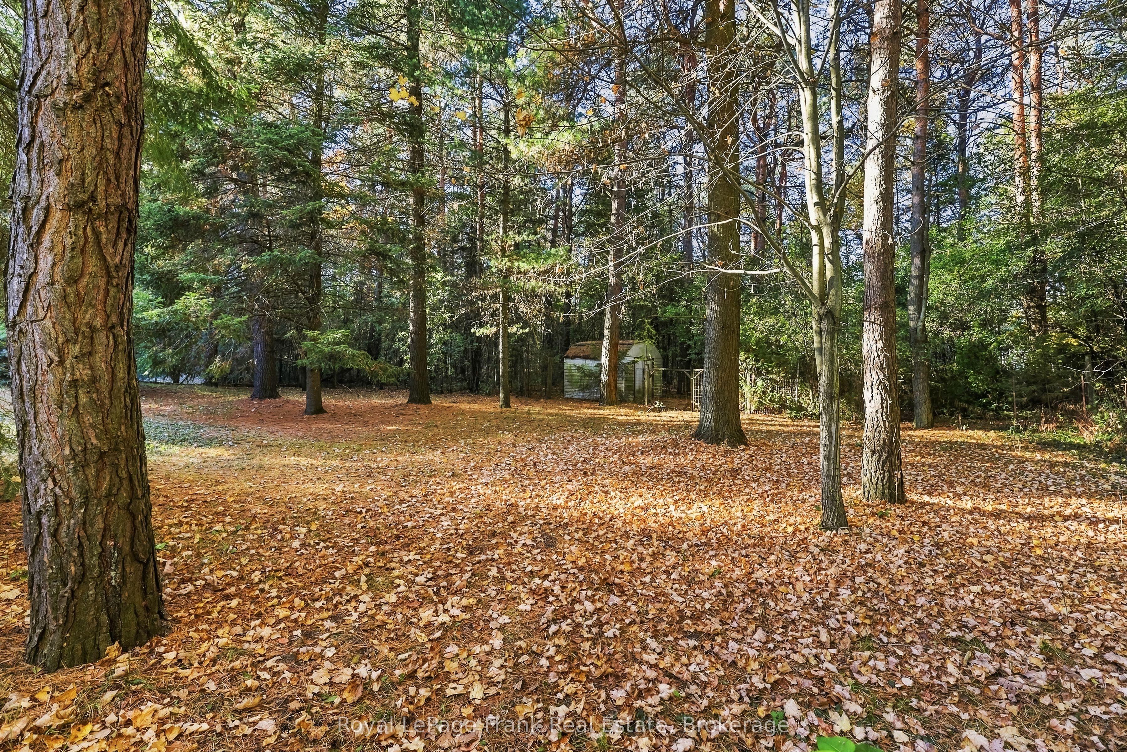 103 Waite Road Property Photo 33