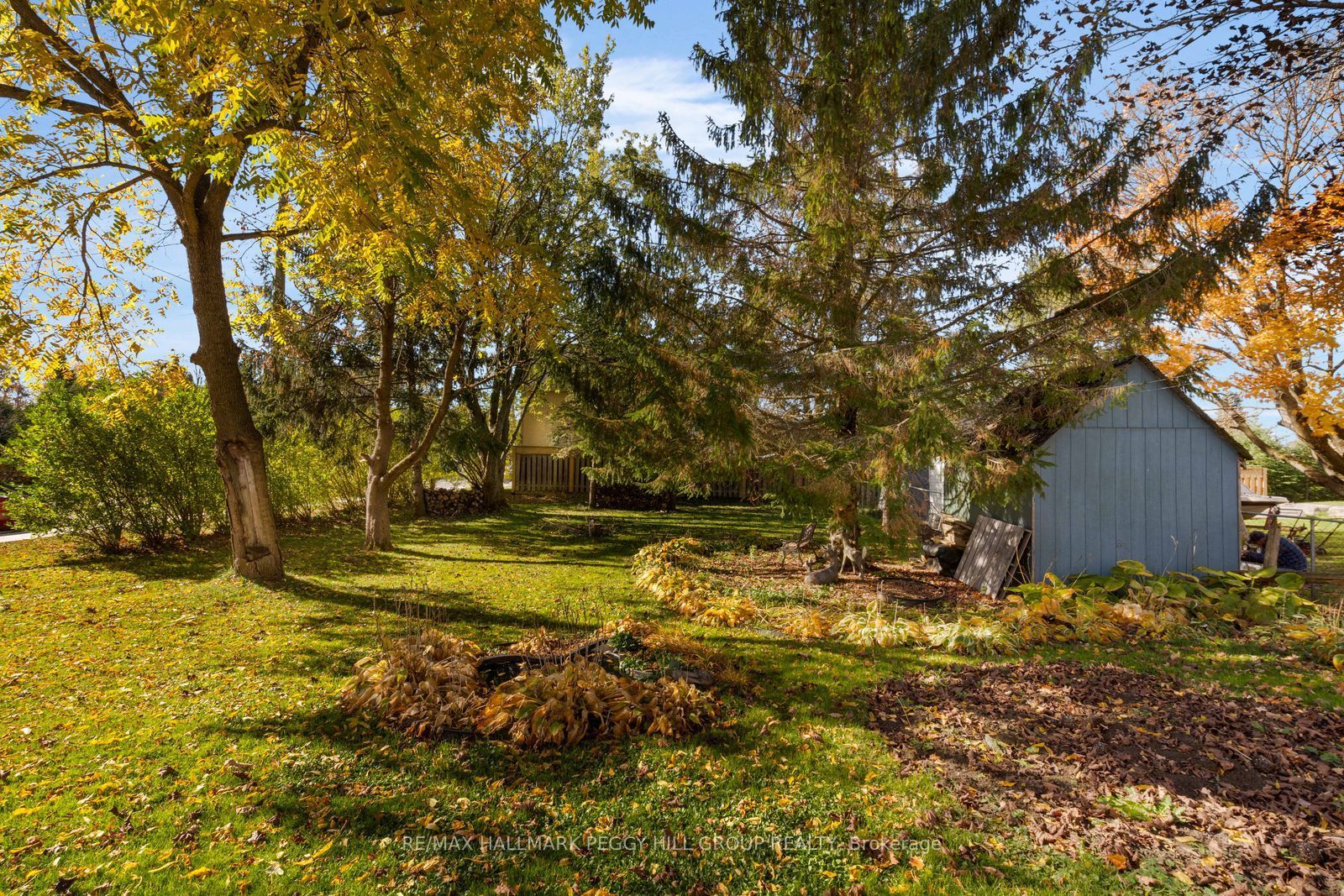 91 Alice Street Property Photo 12