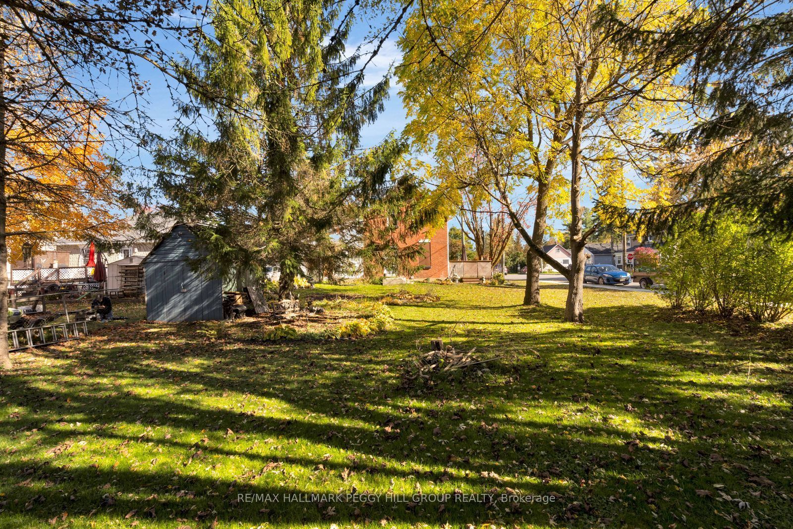 91 Alice Street Property Photo 13