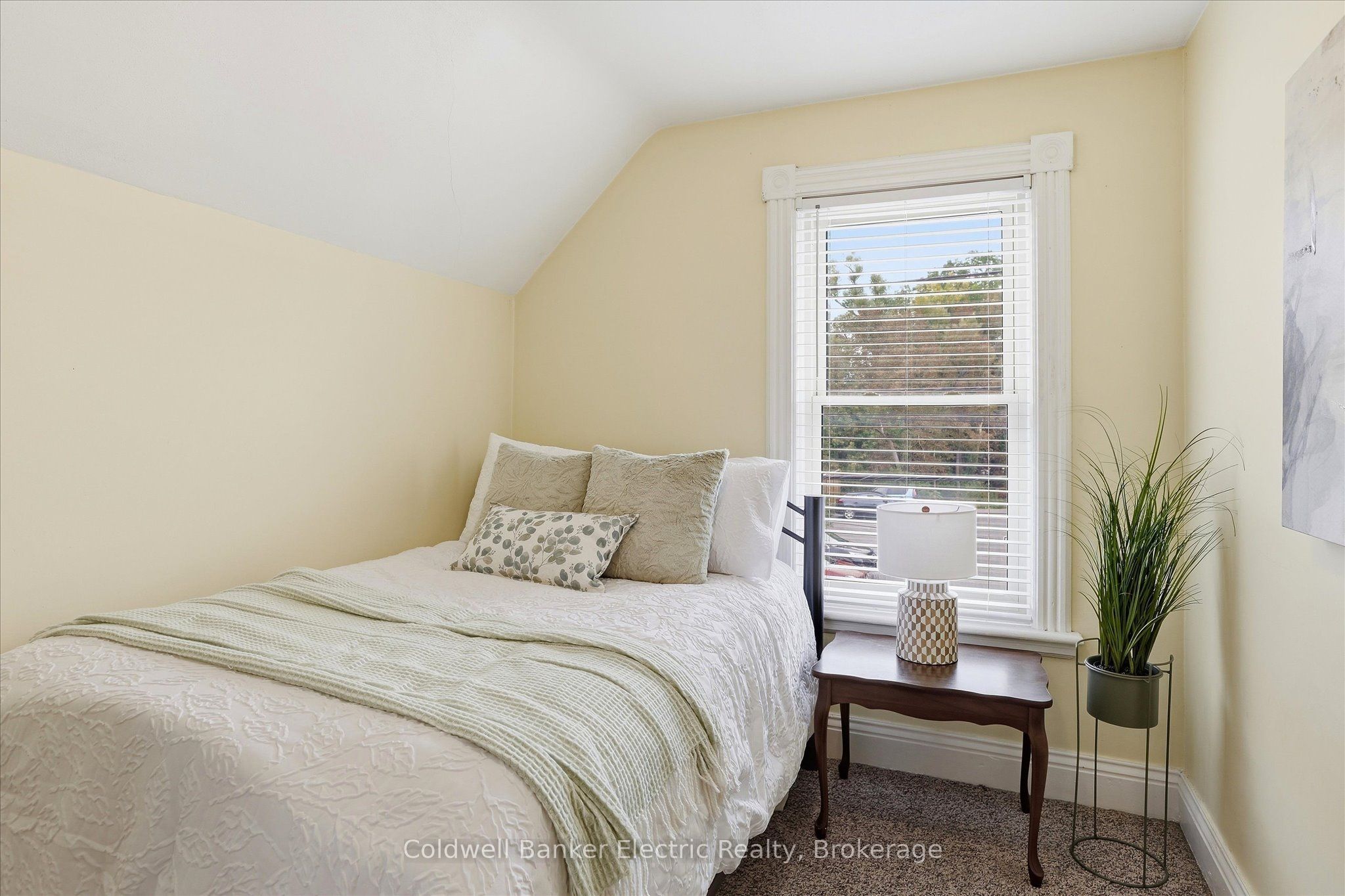 461 Murray Street Property Photo 25
