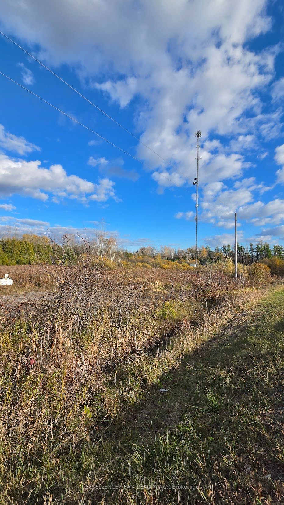 Lot Aultsville Road Property Photo 3