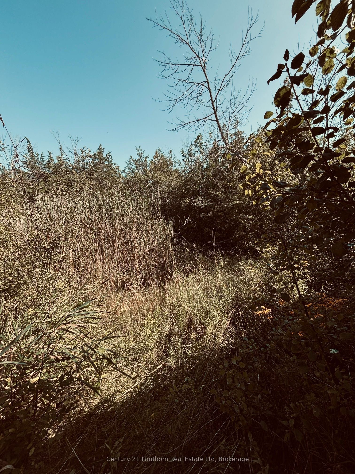 Across From 191 Hill Top Road Property Photo 13