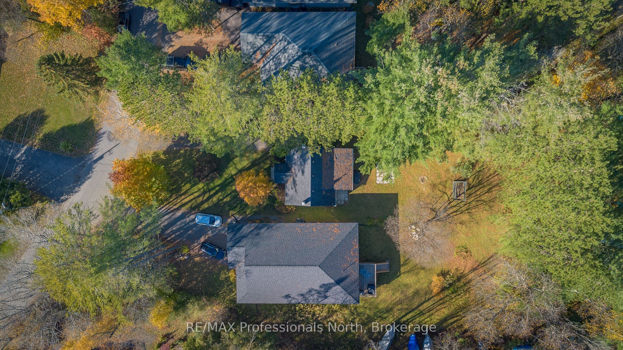 51 Gouldie Street Property Photo 3