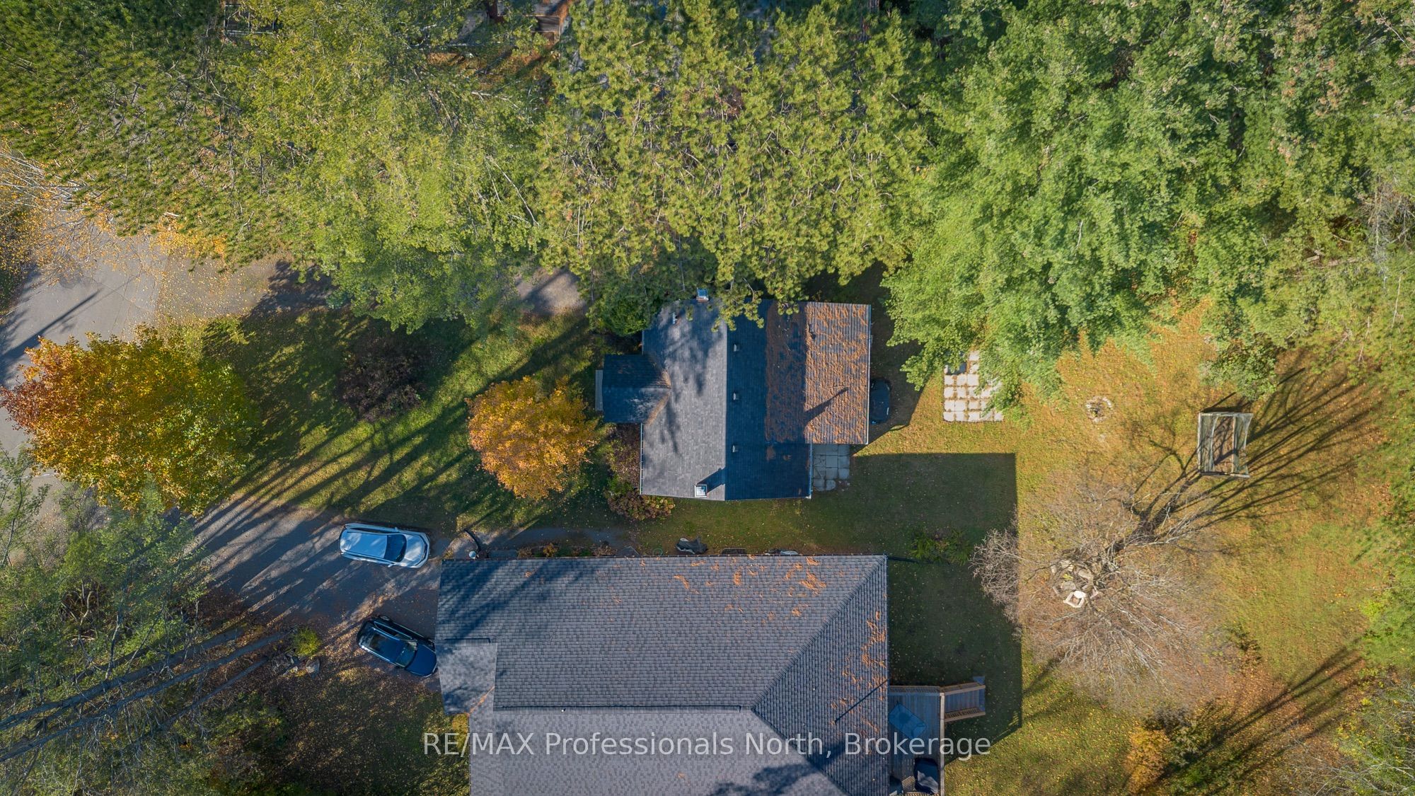 51 Gouldie Street Property Photo 4