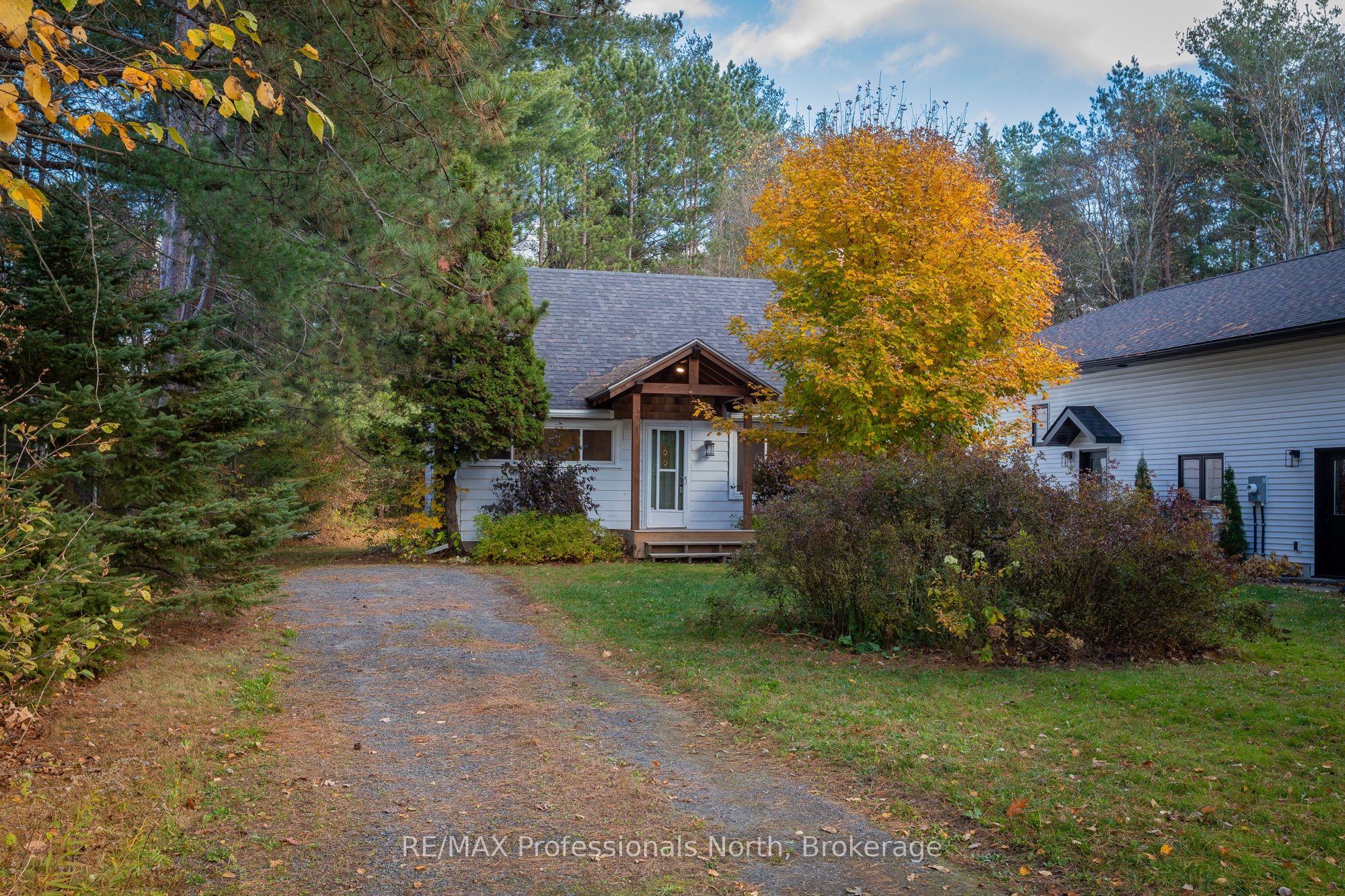 51 Gouldie Street Property Photo 6