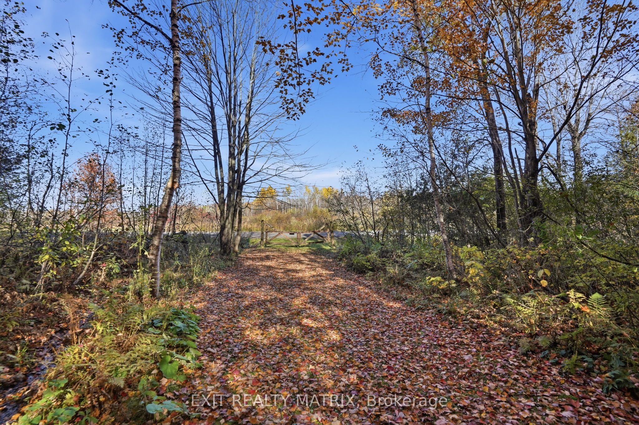 0000 Sandy Hill Road Property Photo 17