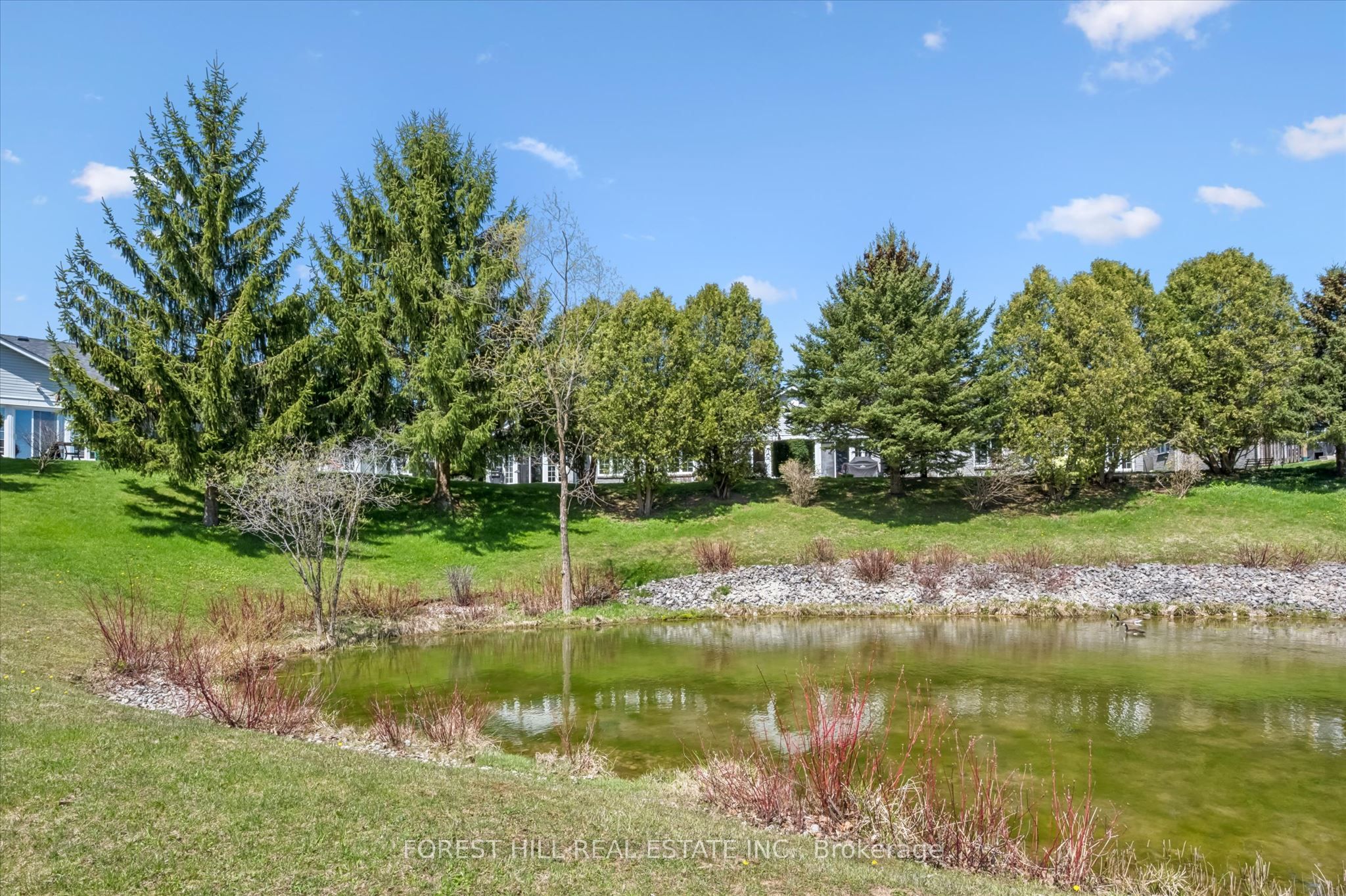 21 Foell Street Property Photo 21