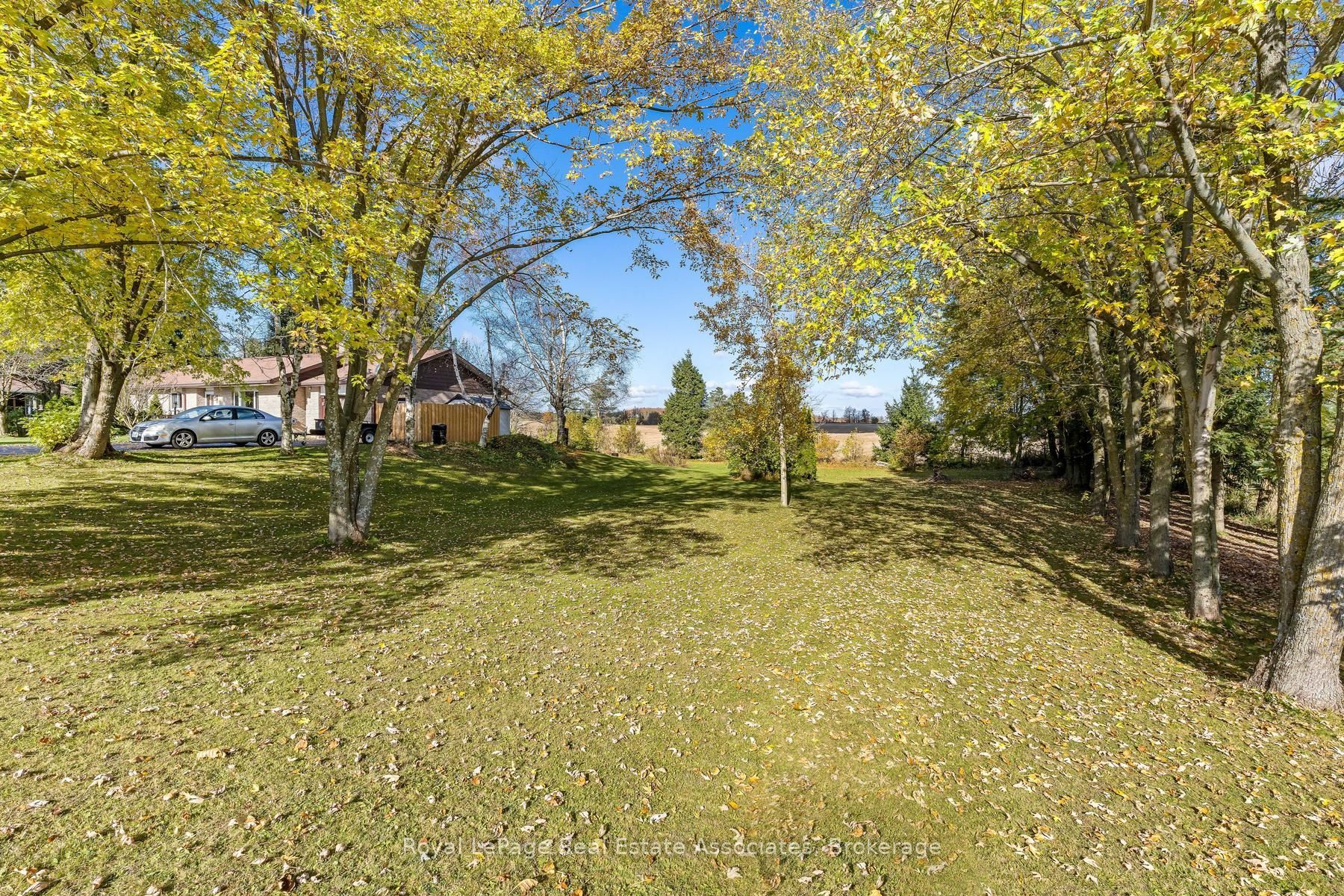 585349 County Road 17 Property Photo 47
