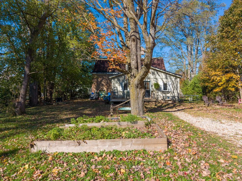 13 Collingwood Street Property Photo 28