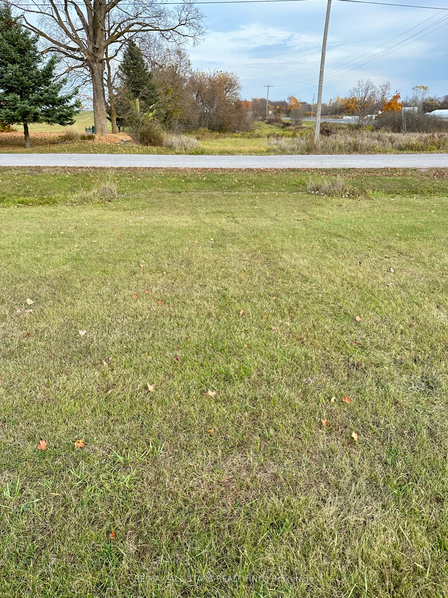 0 Woods Road Property Photo 11
