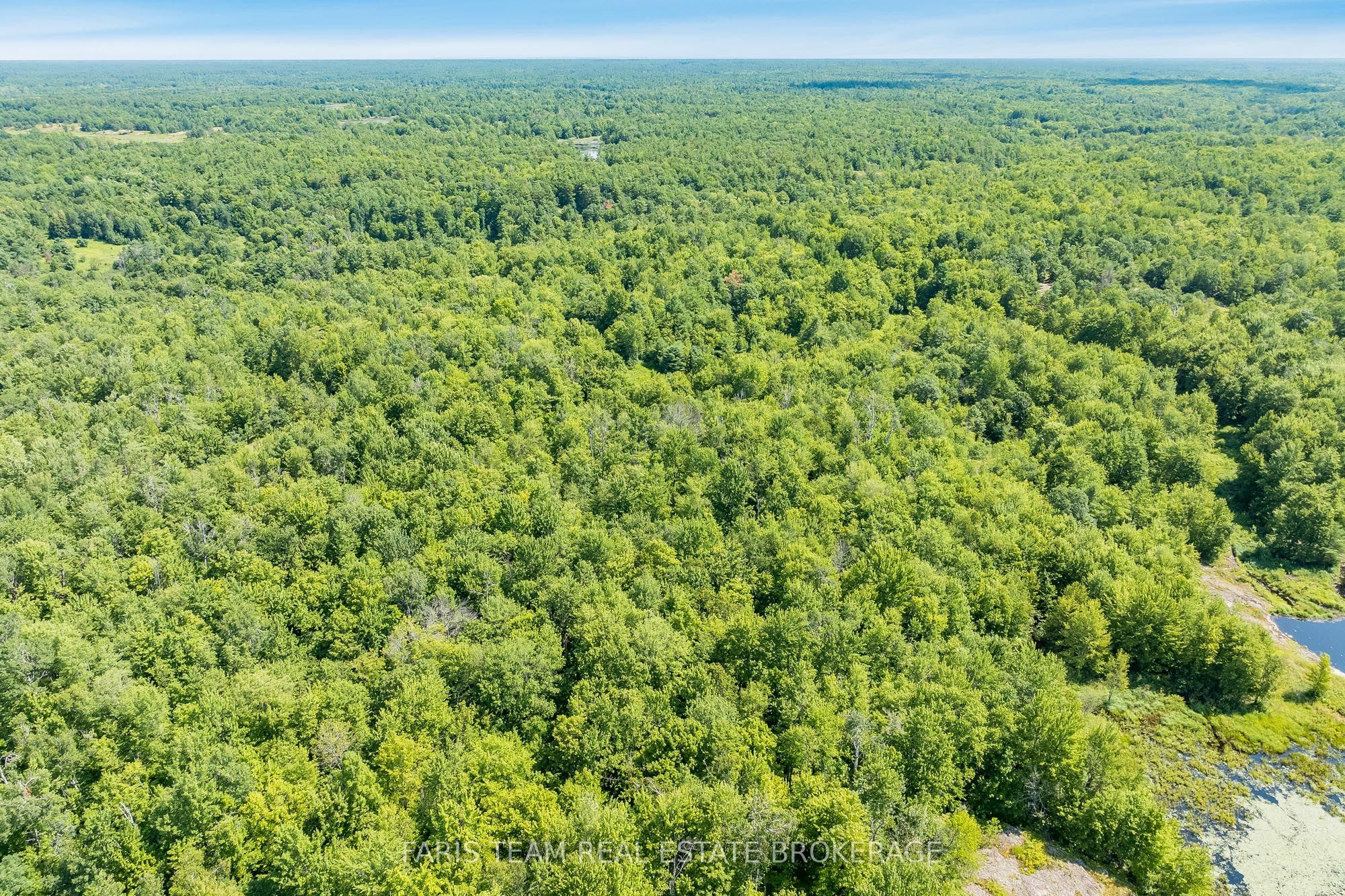 Part Lot 28 Concession 12 Black River Road Property Photo 5