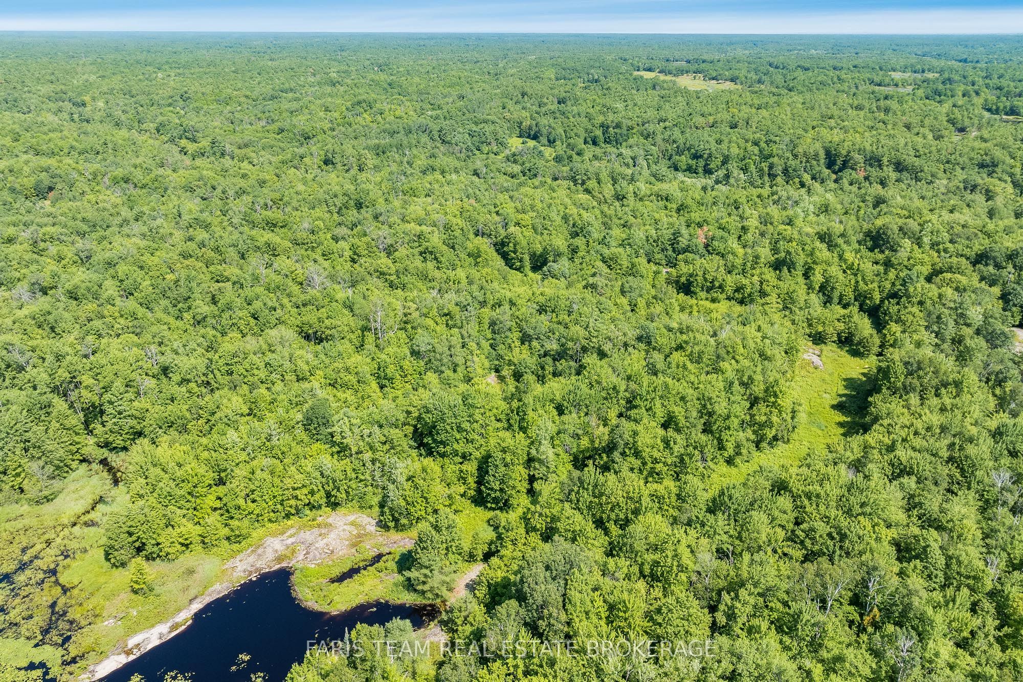 Part Lot 28 Concession 12 Black River Road Property Photo 6