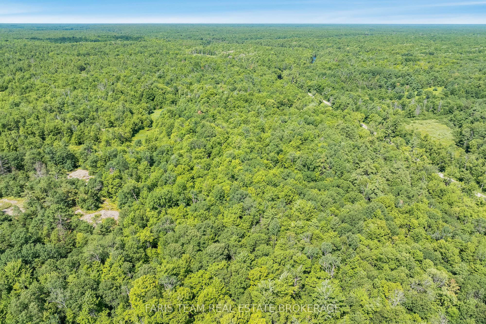 Part Lot 28 Concession 12 Black River Road Property Photo 7