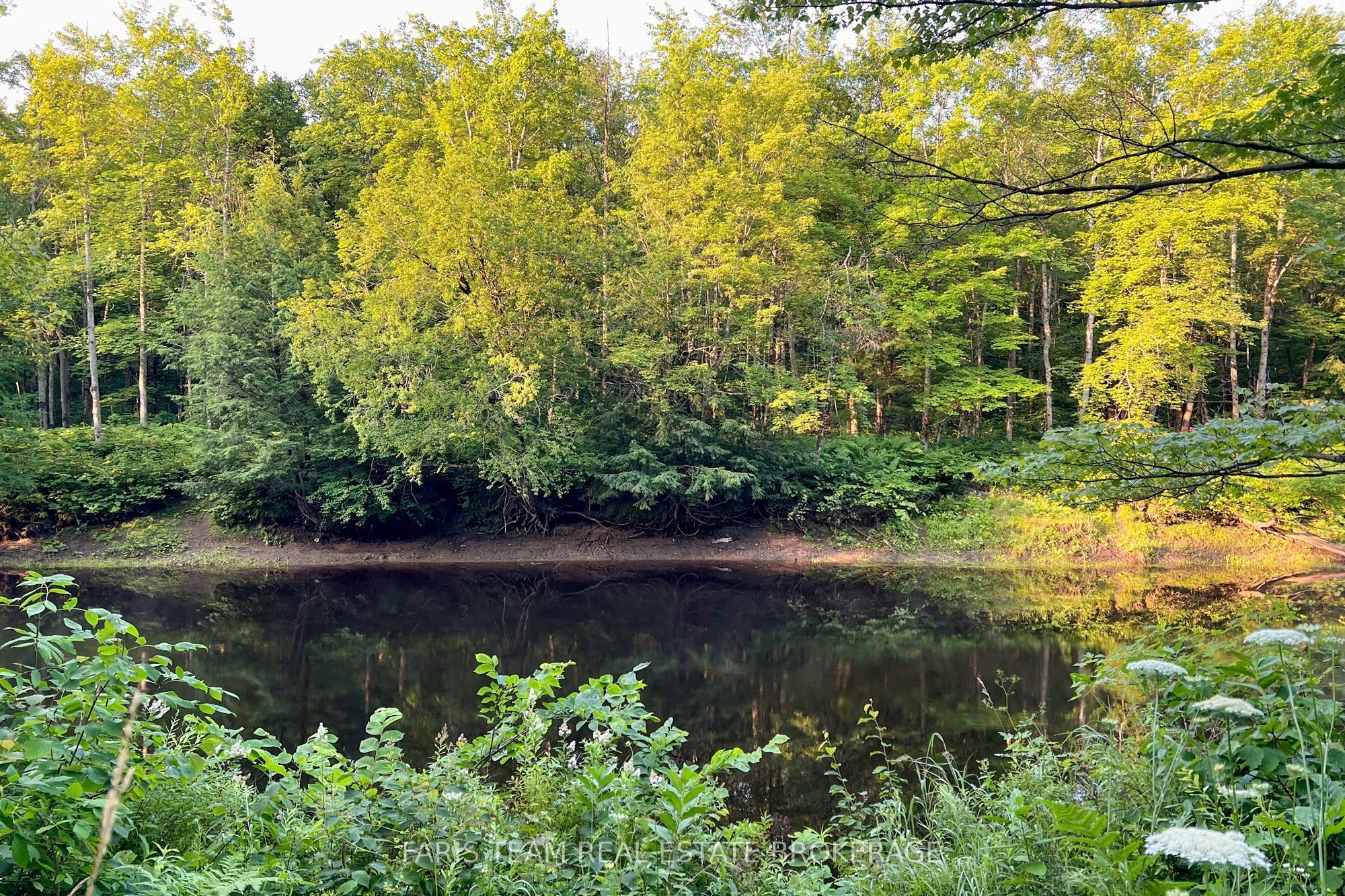 Part Lot 28 Concession 12 Black River Road Property Photo 11
