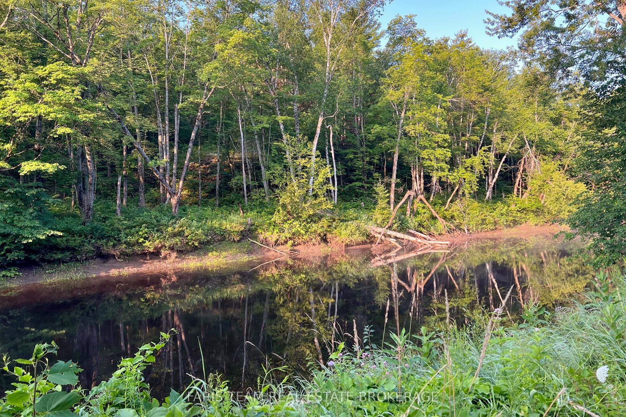 Part Lot 28 Concession 12 Black River Road Property Photo 12