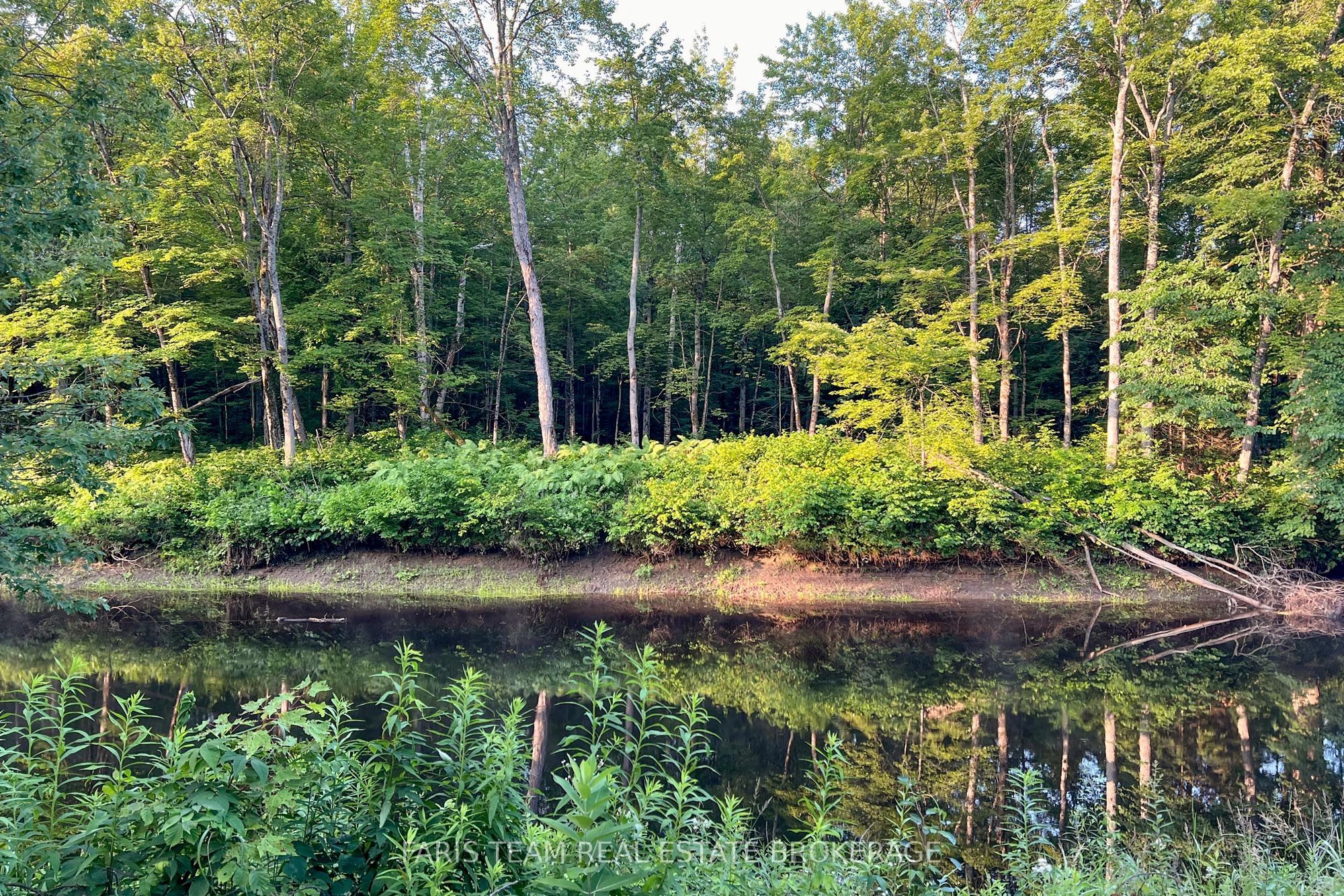 Part Lot 28 Concession 12 Black River Road Property Photo 14