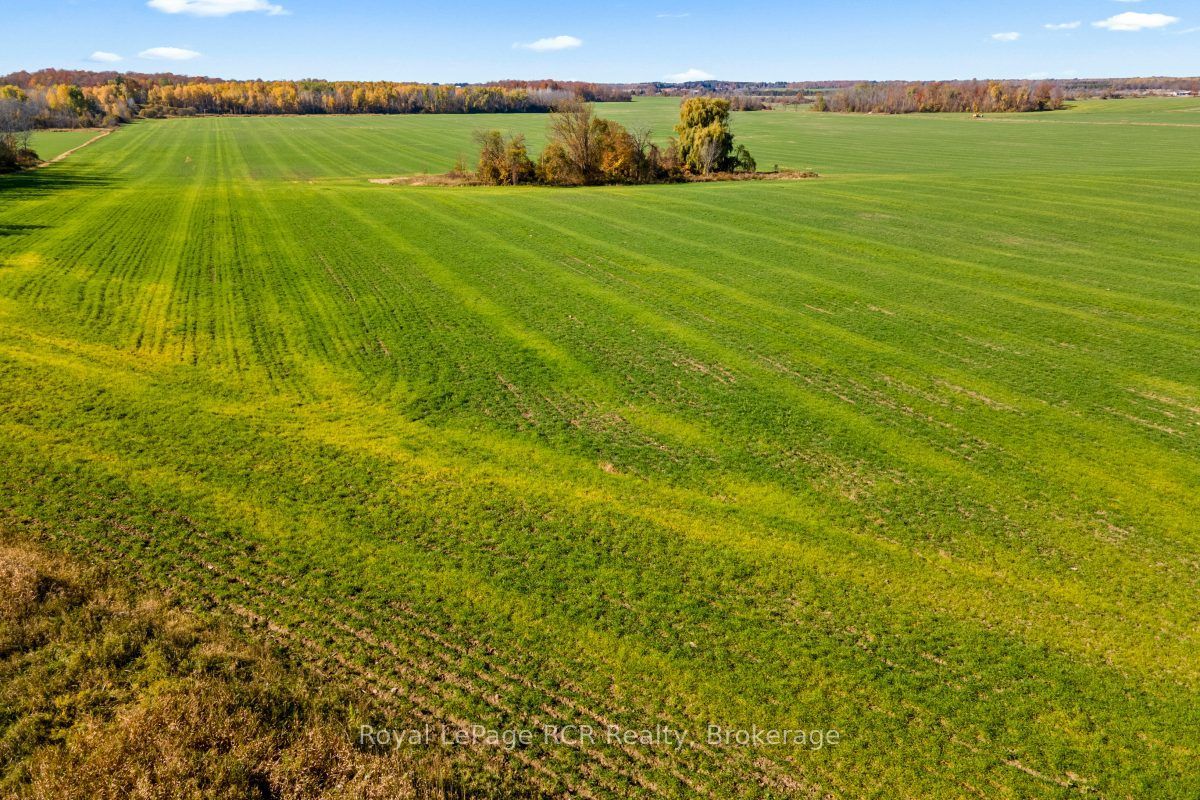 235 Concession 8 Road W Property Photo 33