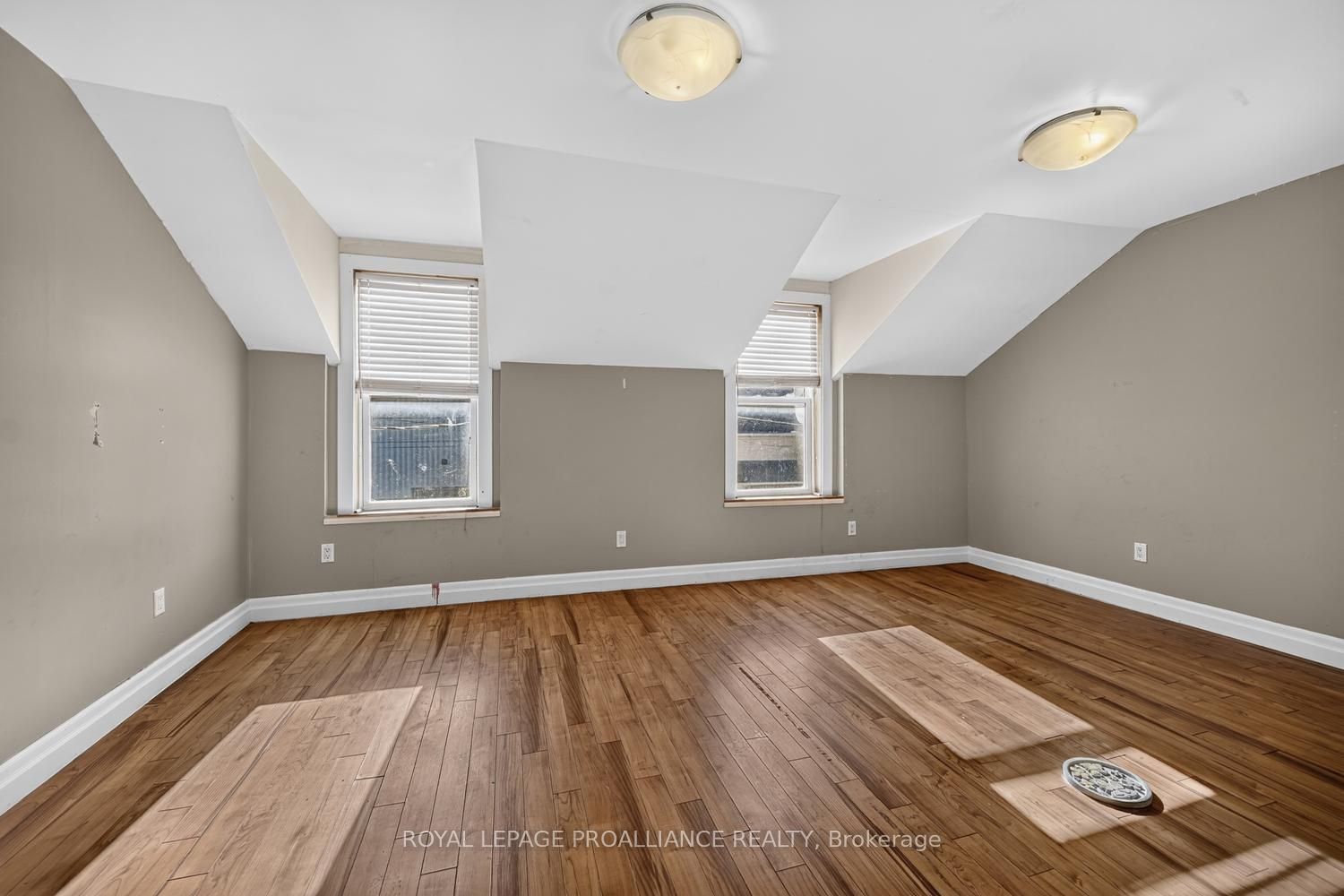 22 Abbott Street Property Photo 14