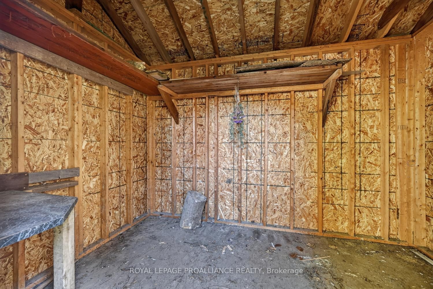 22 Abbott Street Property Photo 21