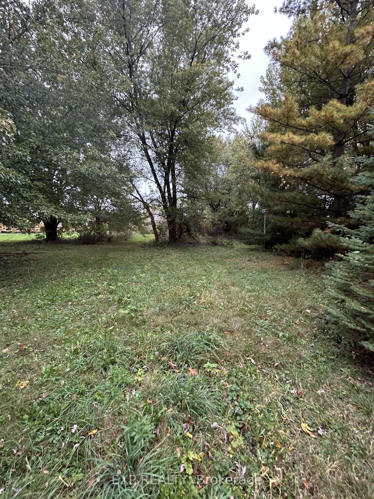 1256 County Road 22 Road Property Photo 6