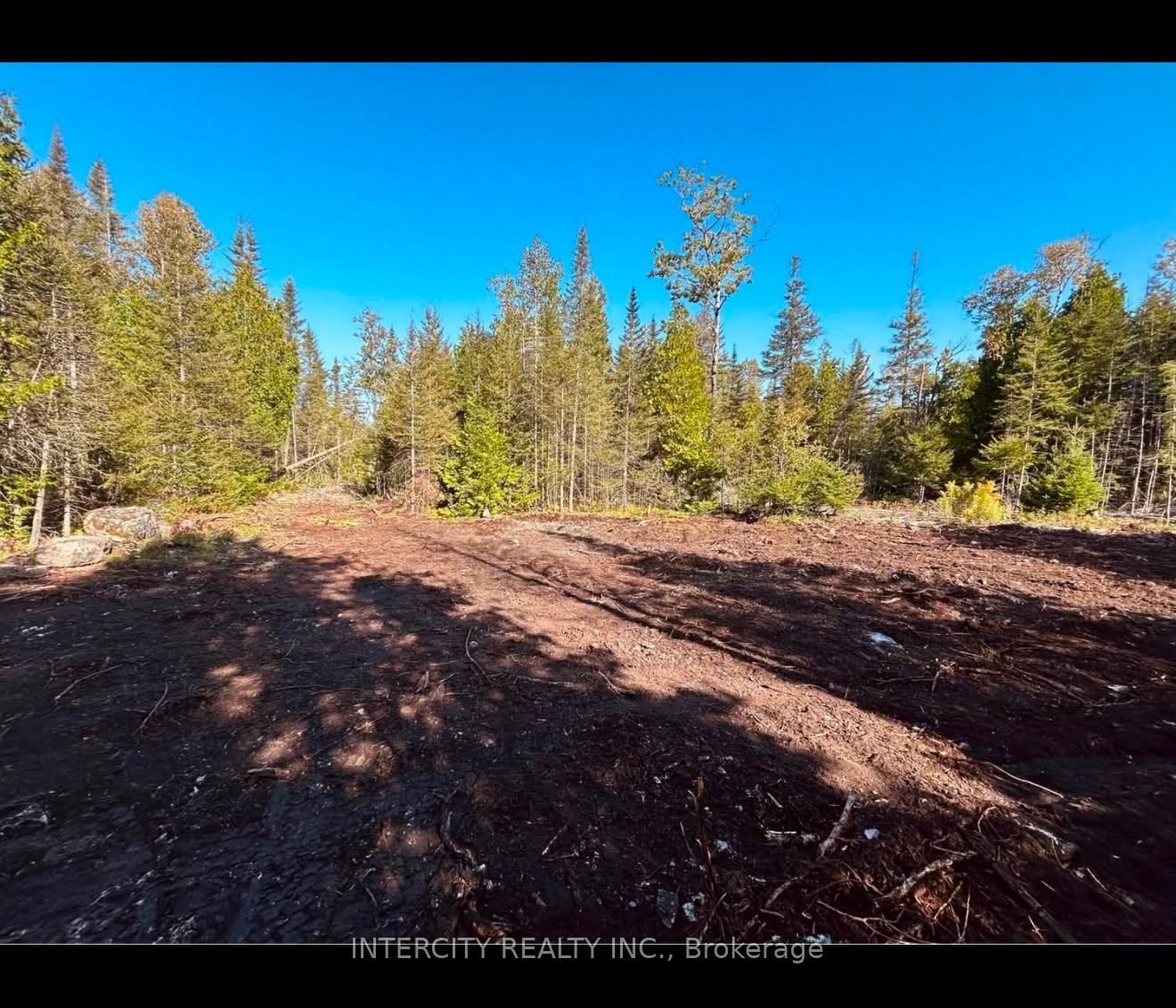 153 Bradley Drive Property Photo 11