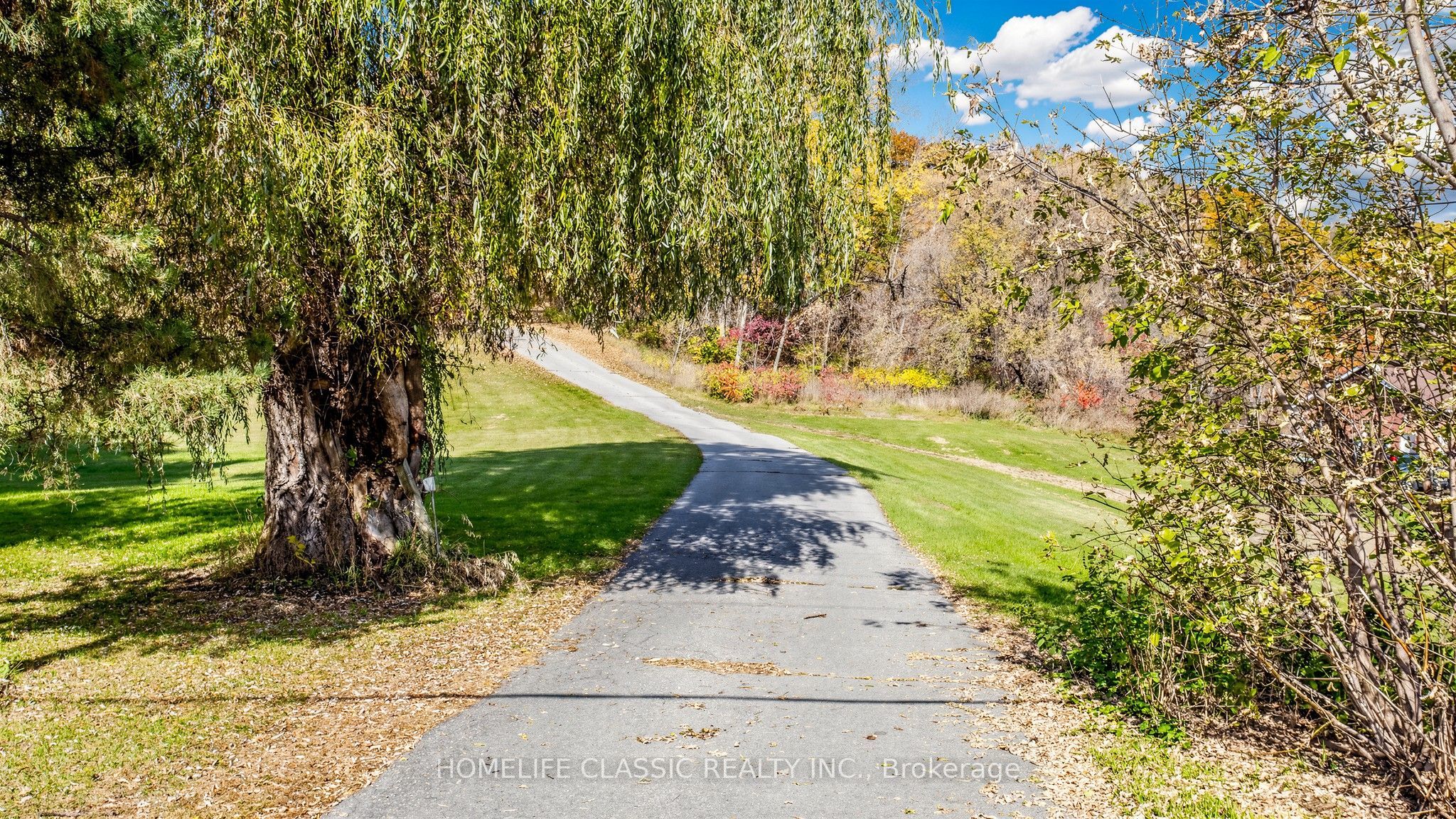 448 Old Wooler Road Property Photo 3