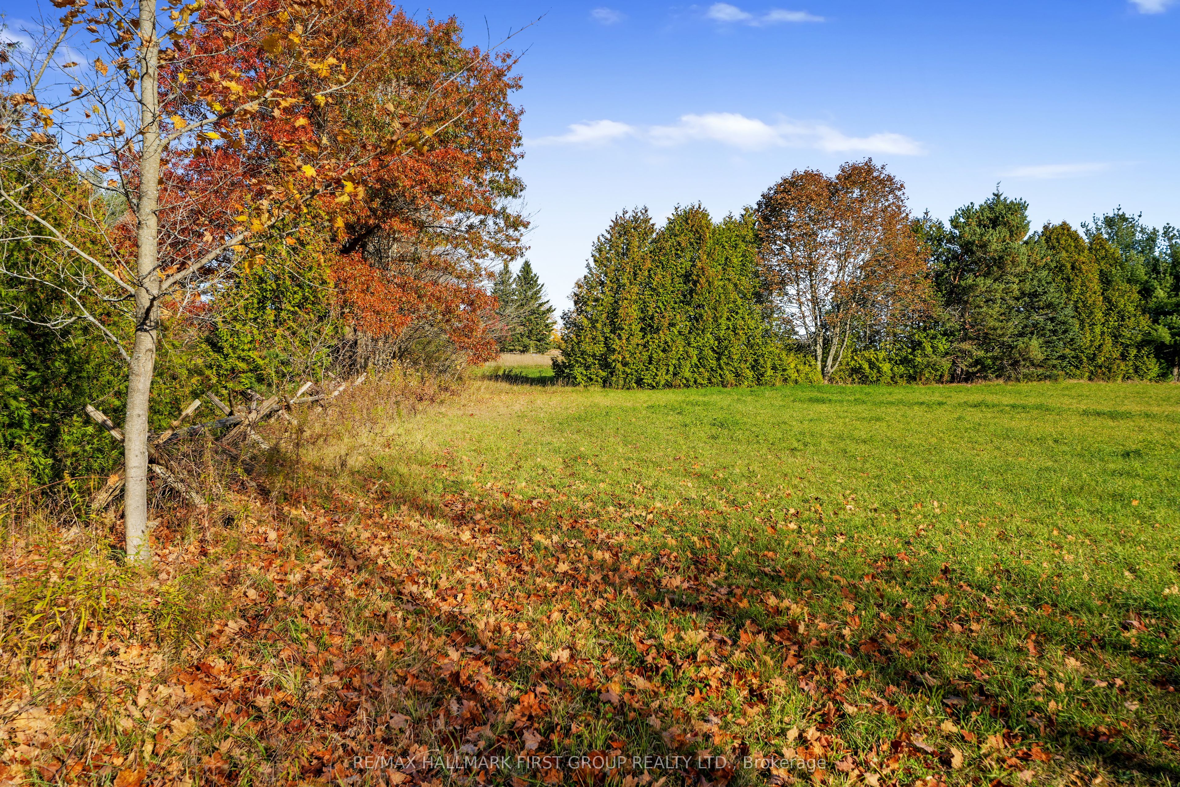 Vacant Land At 181 Forget Road Property Photo 5