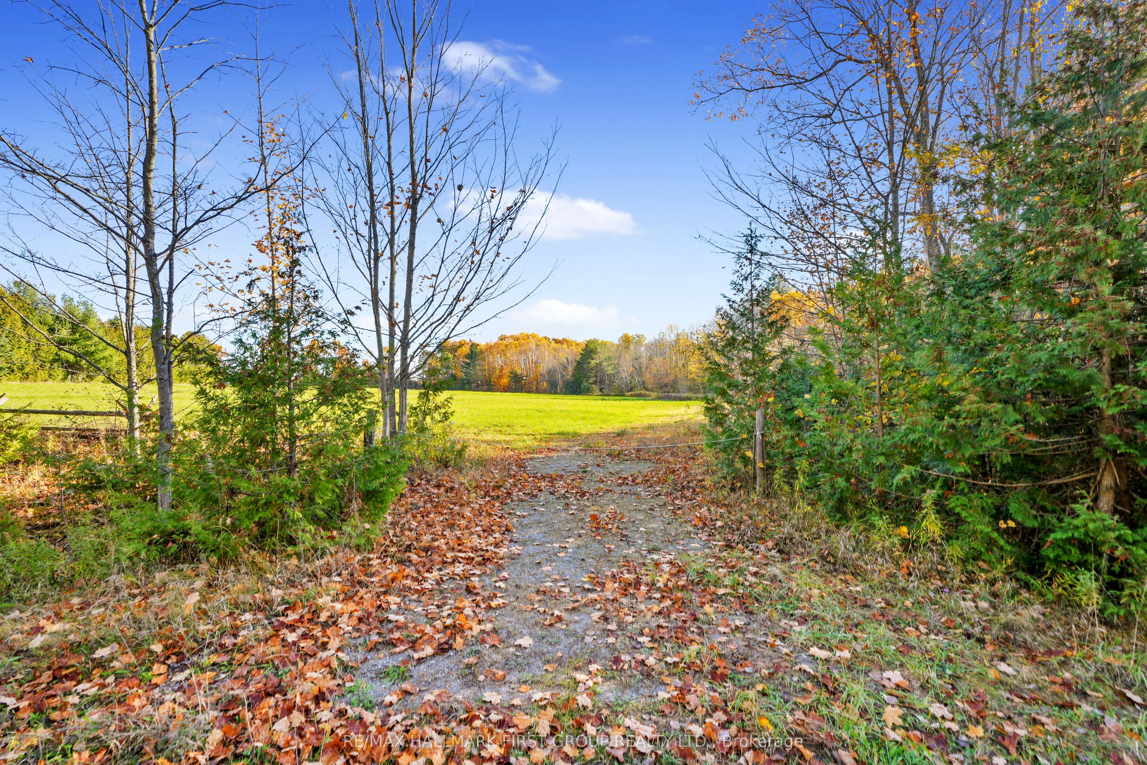 Vacant Land At 181 Forget Road Property Photo 6