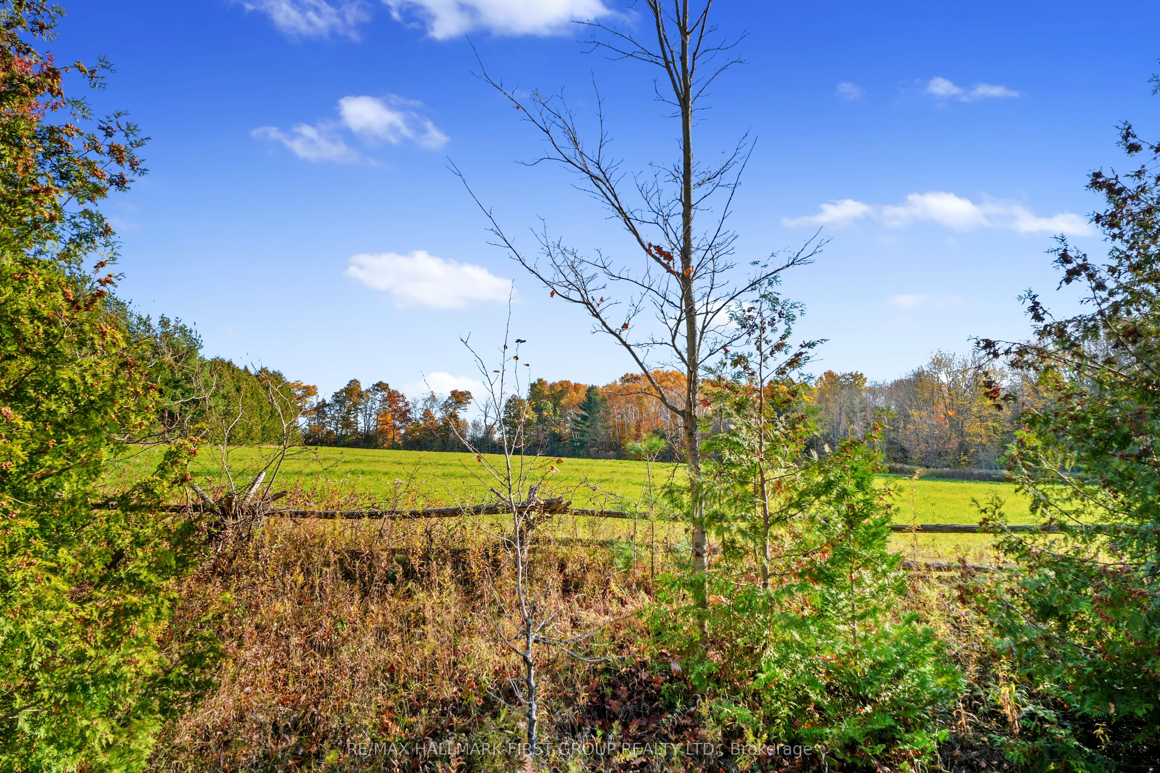Vacant Land At 181 Forget Road Property Photo 13