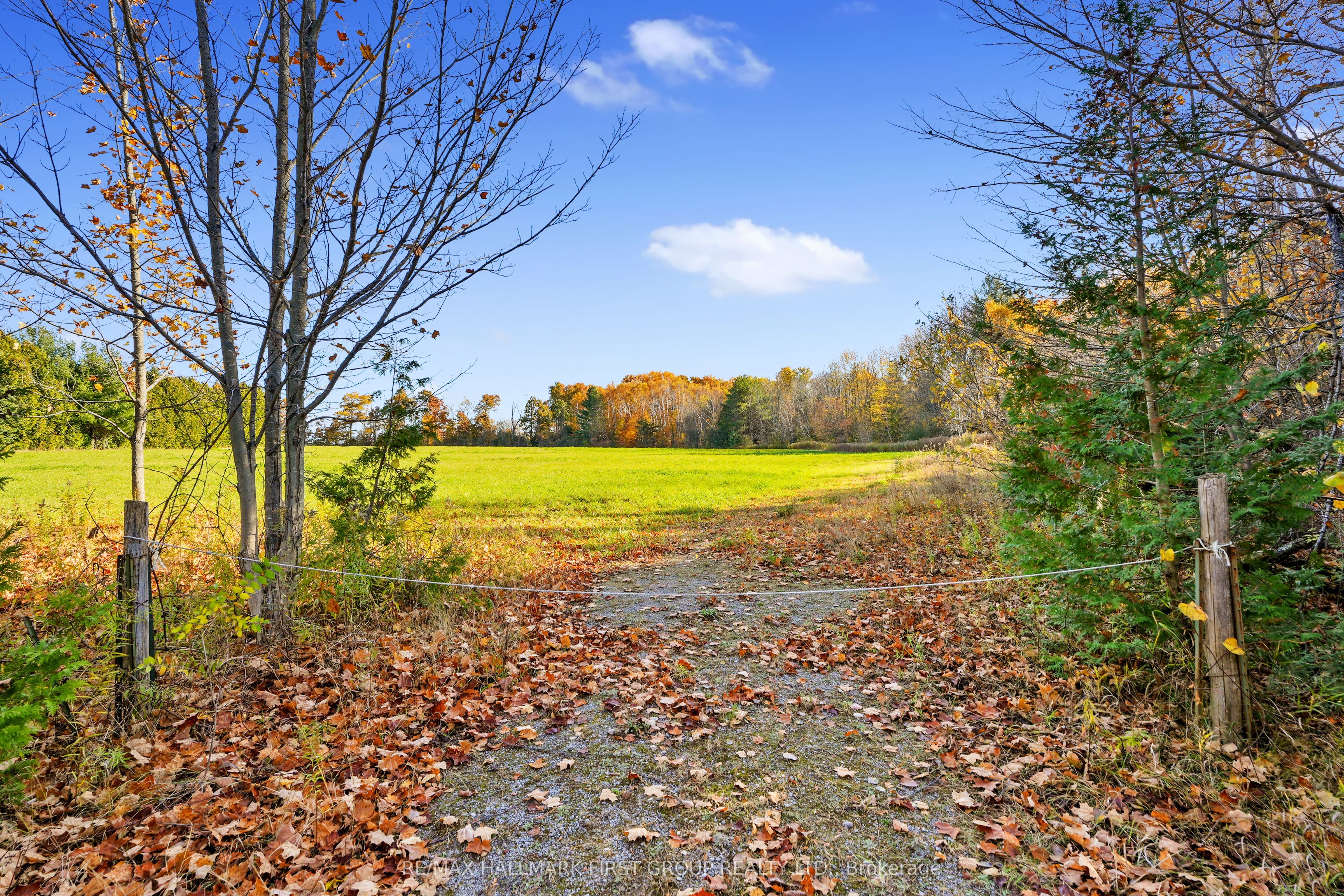 Vacant Land At 181 Forget Road Property Photo 16