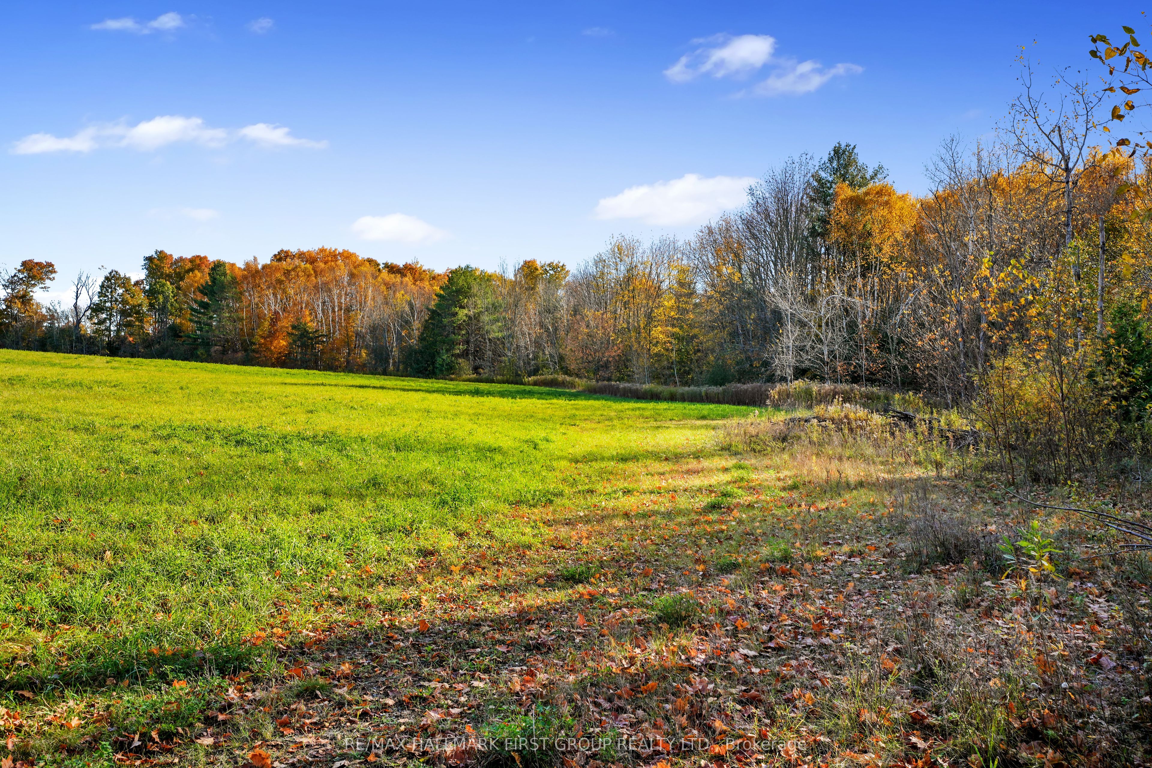 Vacant Land At 181 Forget Road Property Photo 17