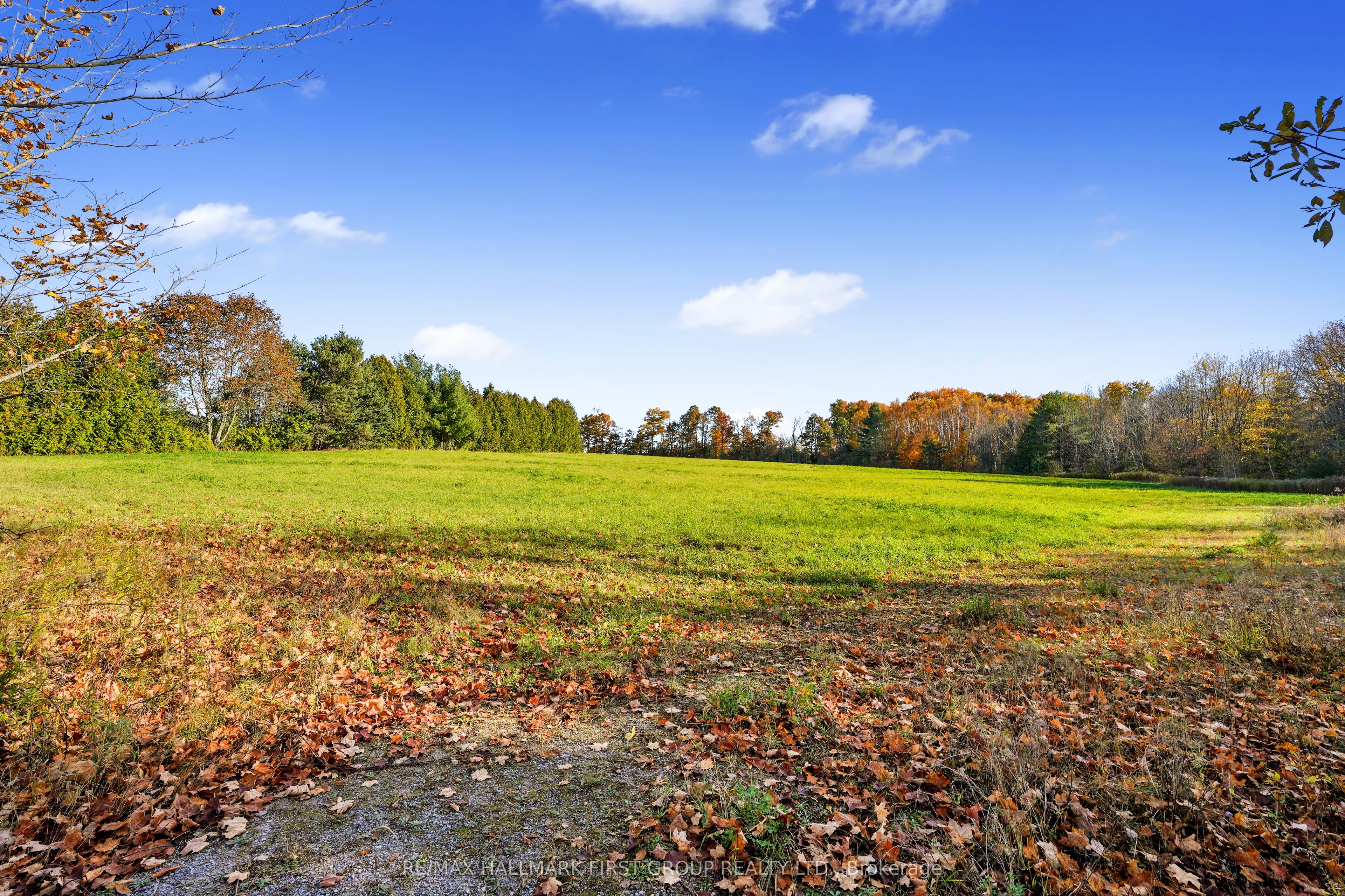 Vacant Land At 181 Forget Road Property Photo 19