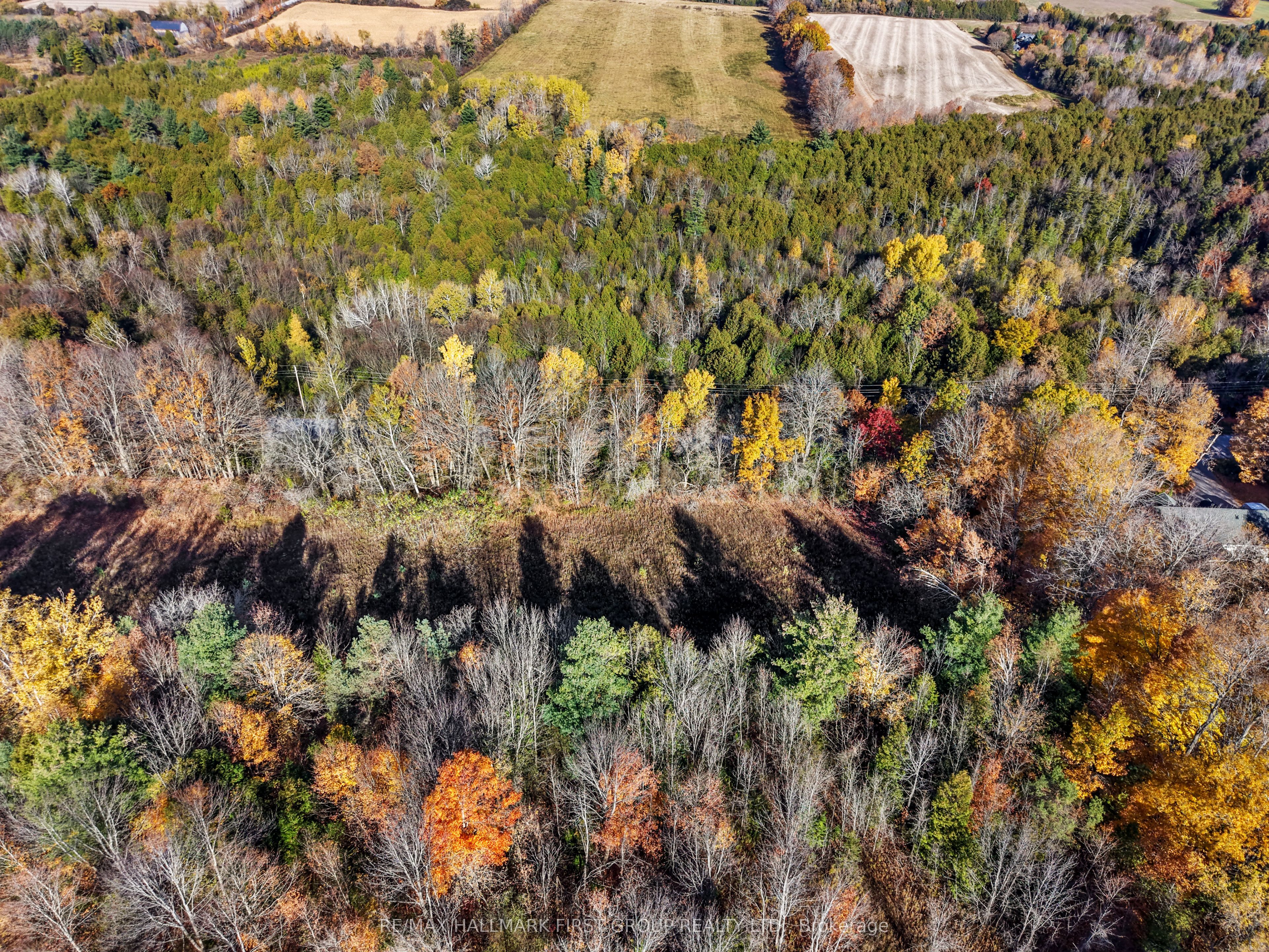 A2 Pipeline Road Property Photo 8