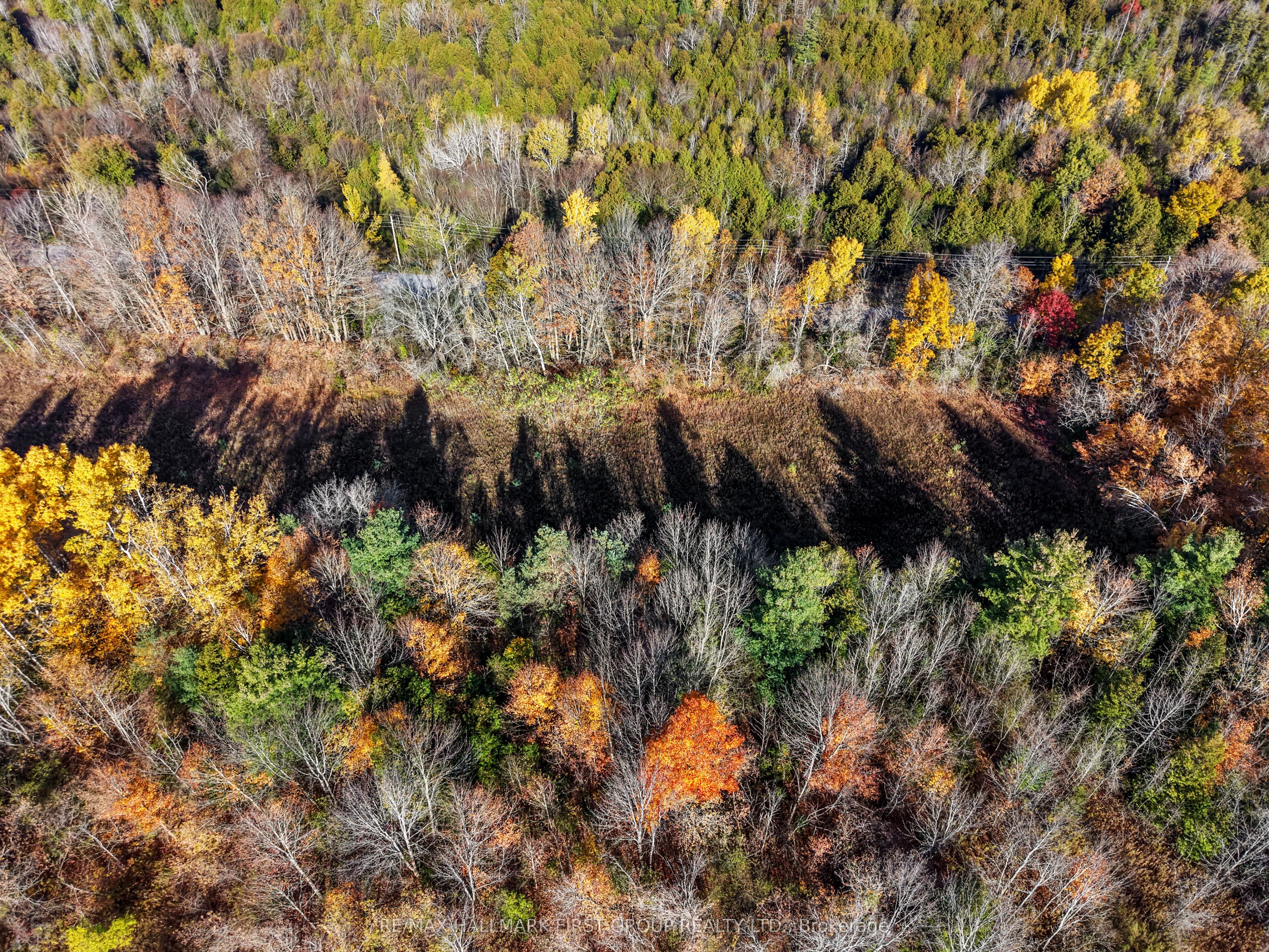 A2 Pipeline Road Property Photo 10