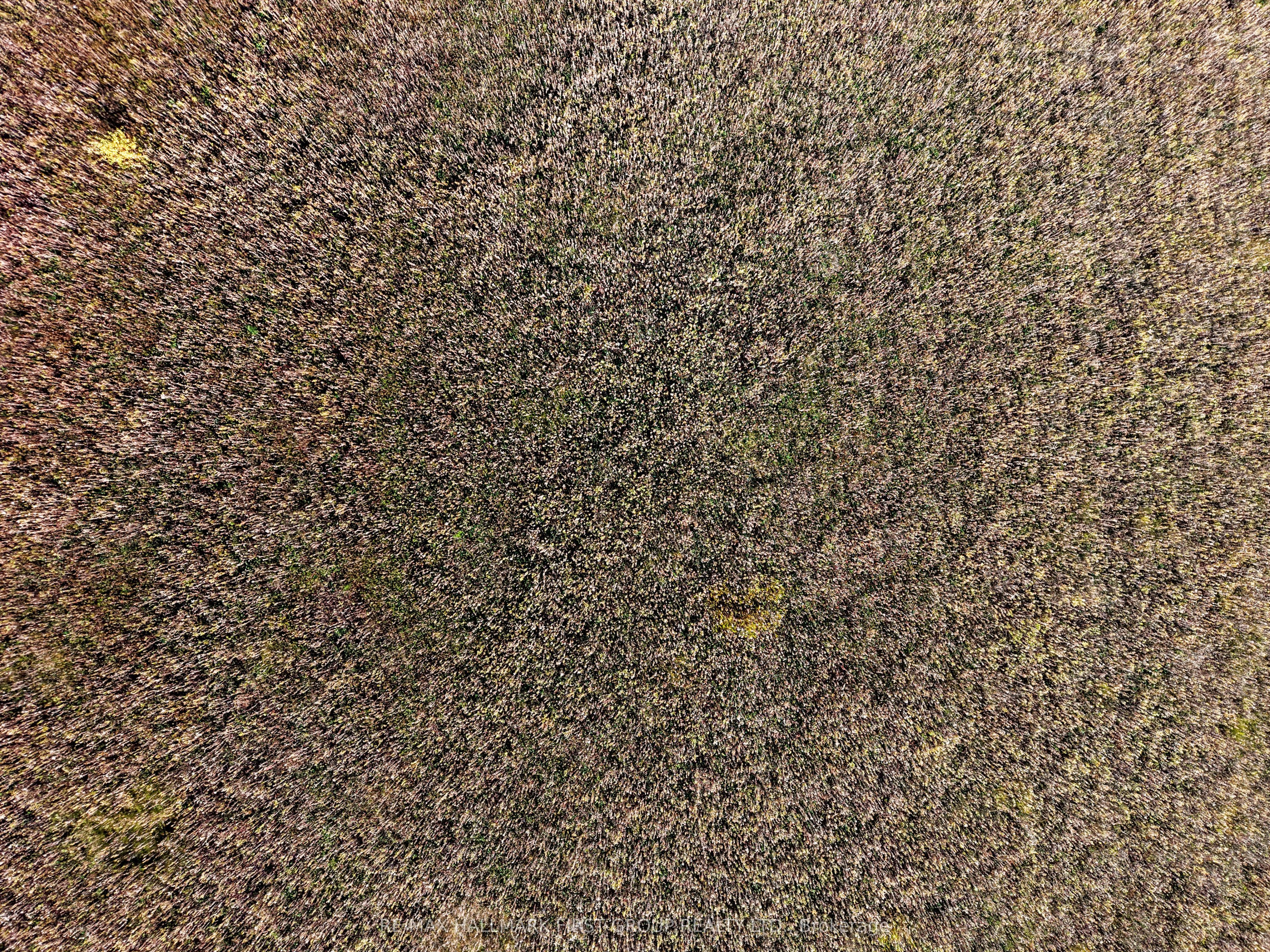 A Pipeline Road Property Photo 6