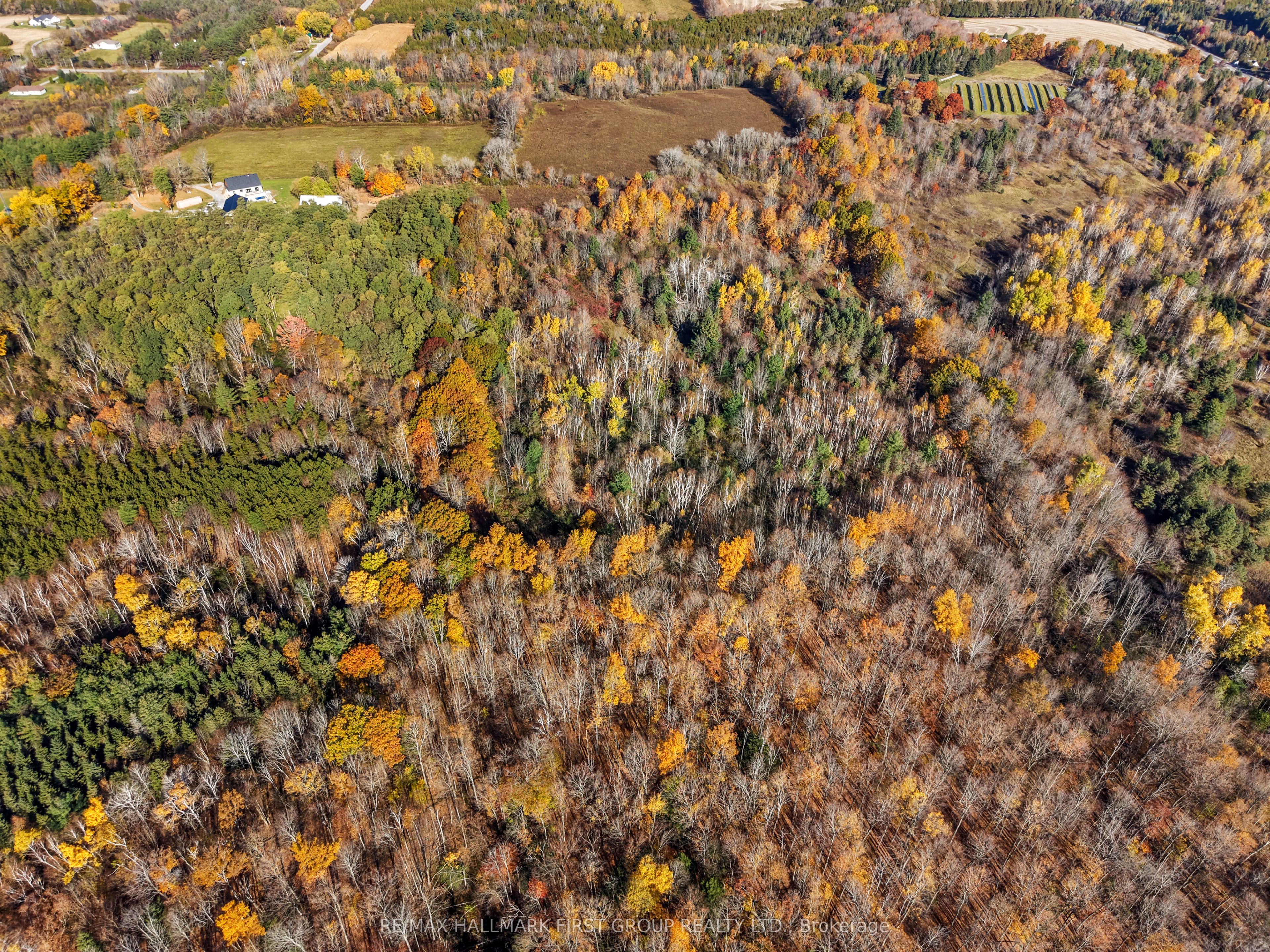 A Pipeline Road Property Photo 12