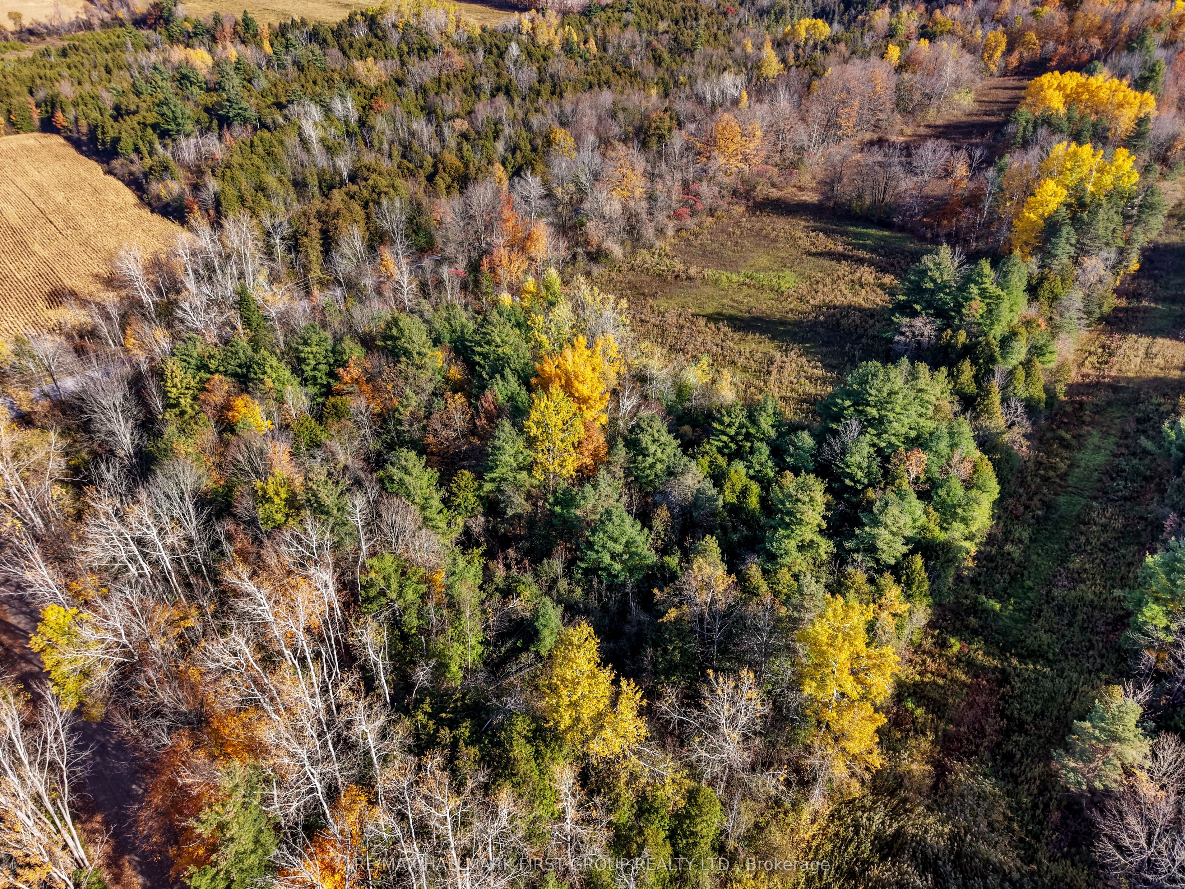 B2 Pipeline Road Property Photo 5