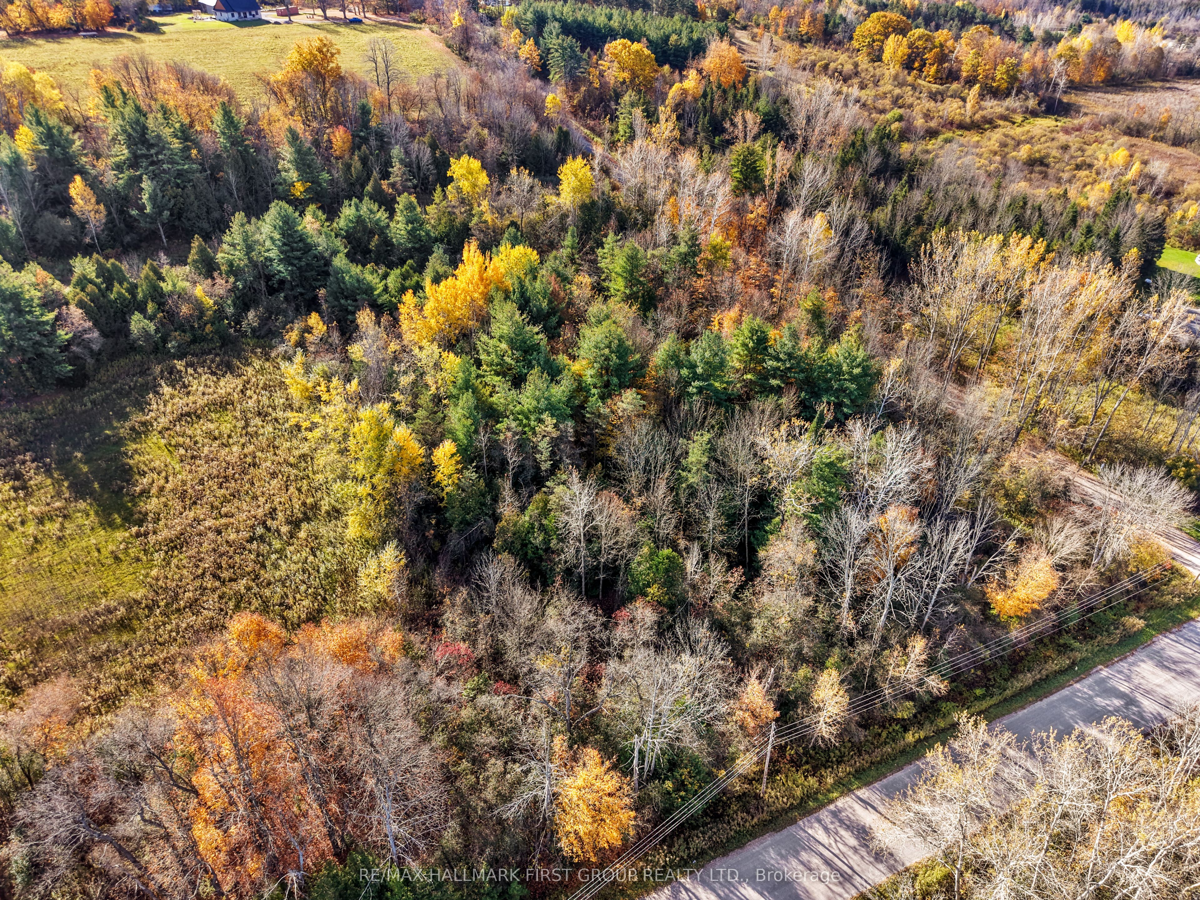 B2 Pipeline Road Property Photo 25