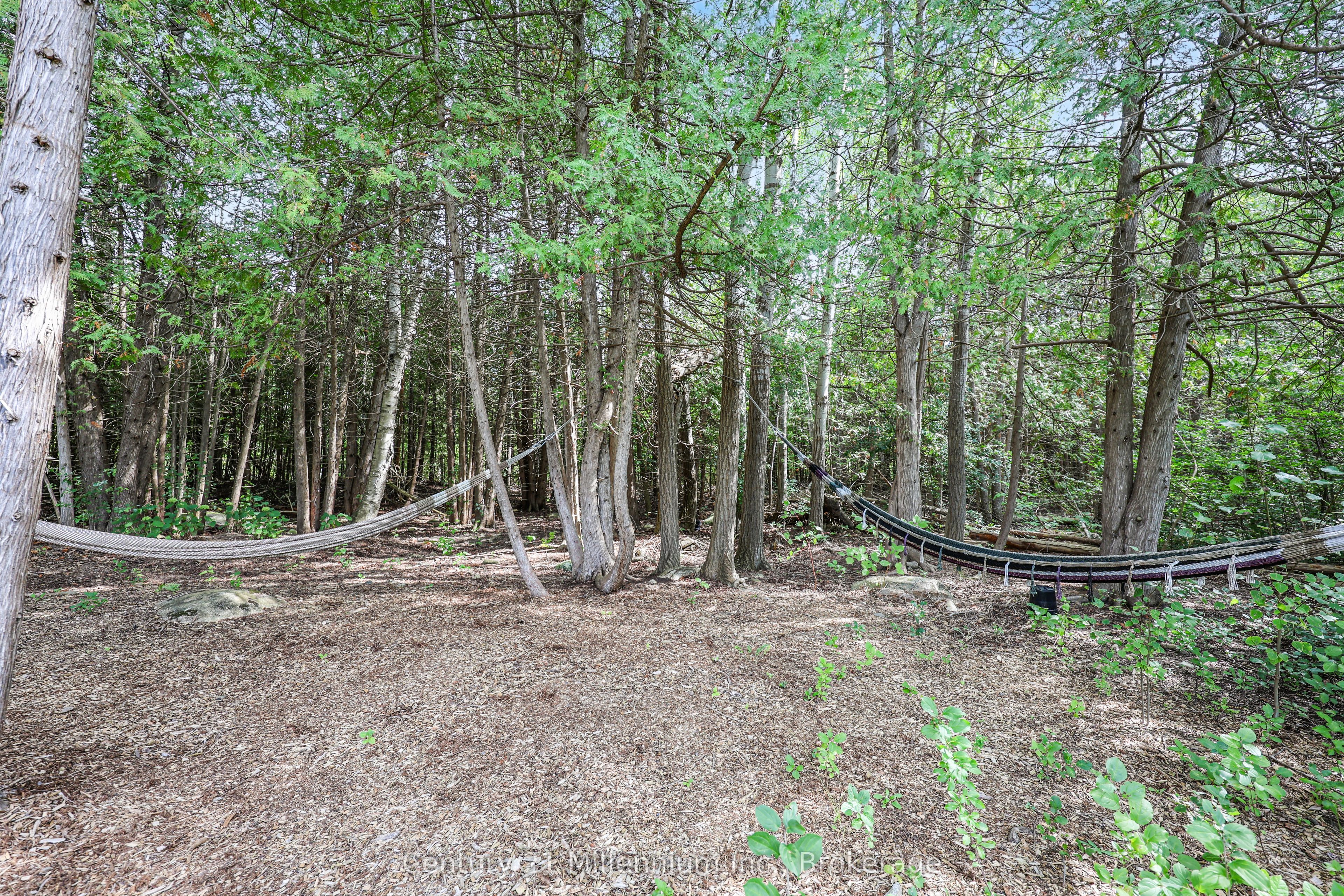 103 Tekiah Road Property Photo 42