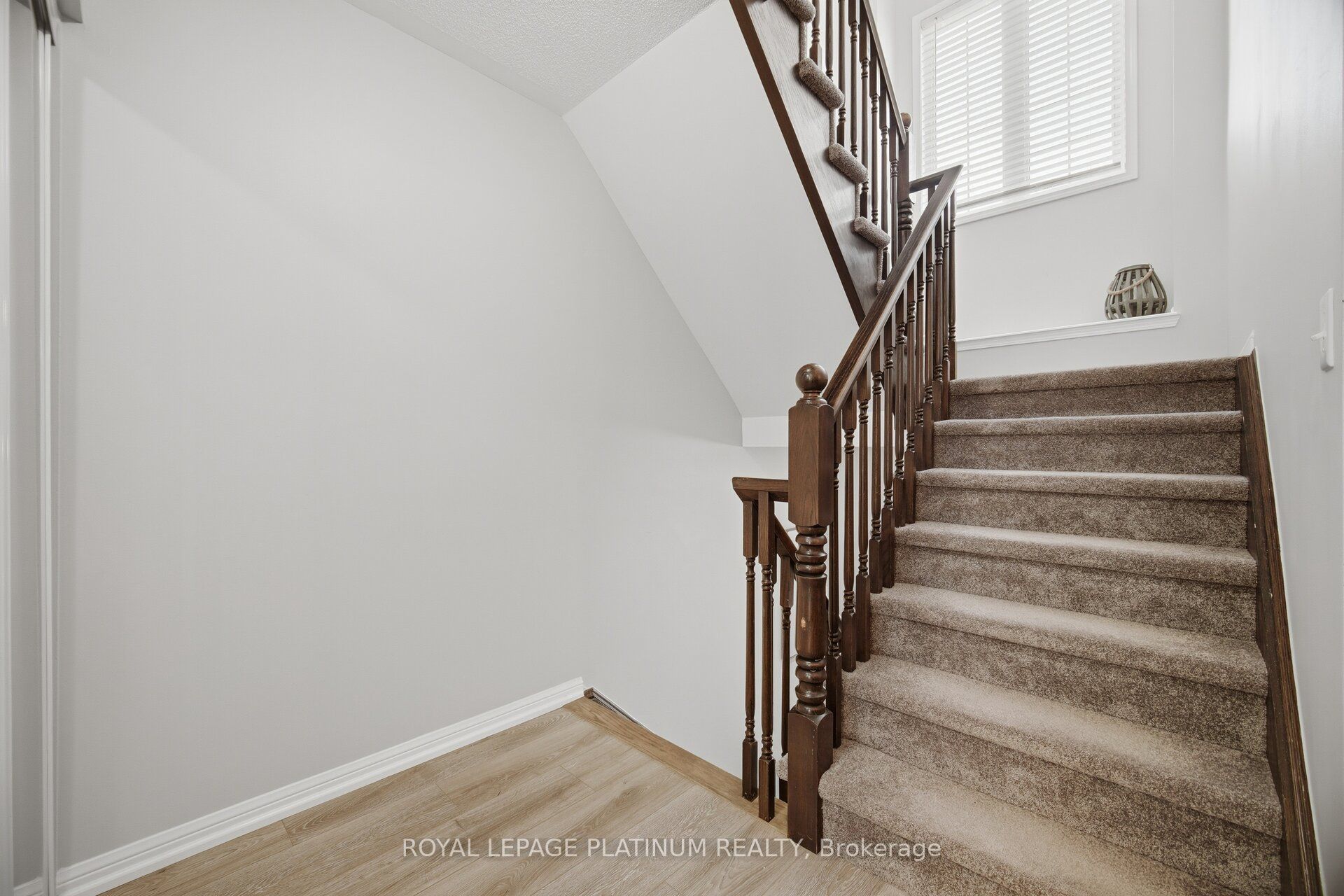 59 Ohara Lane Property Photo 23