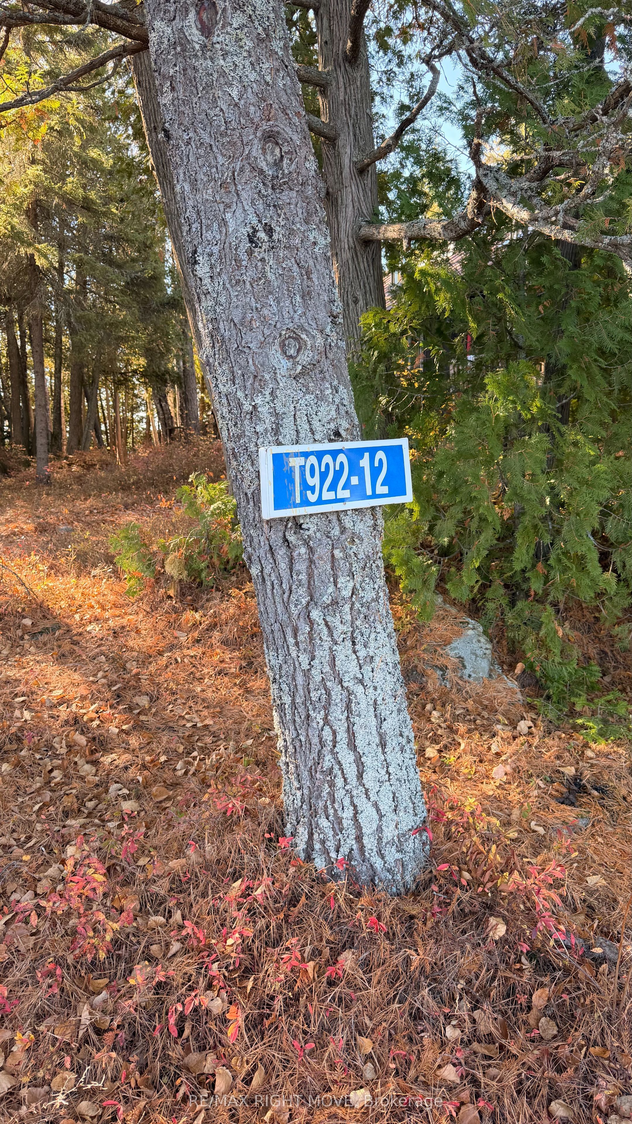 12 Lake Temagami Island Property Photo 3