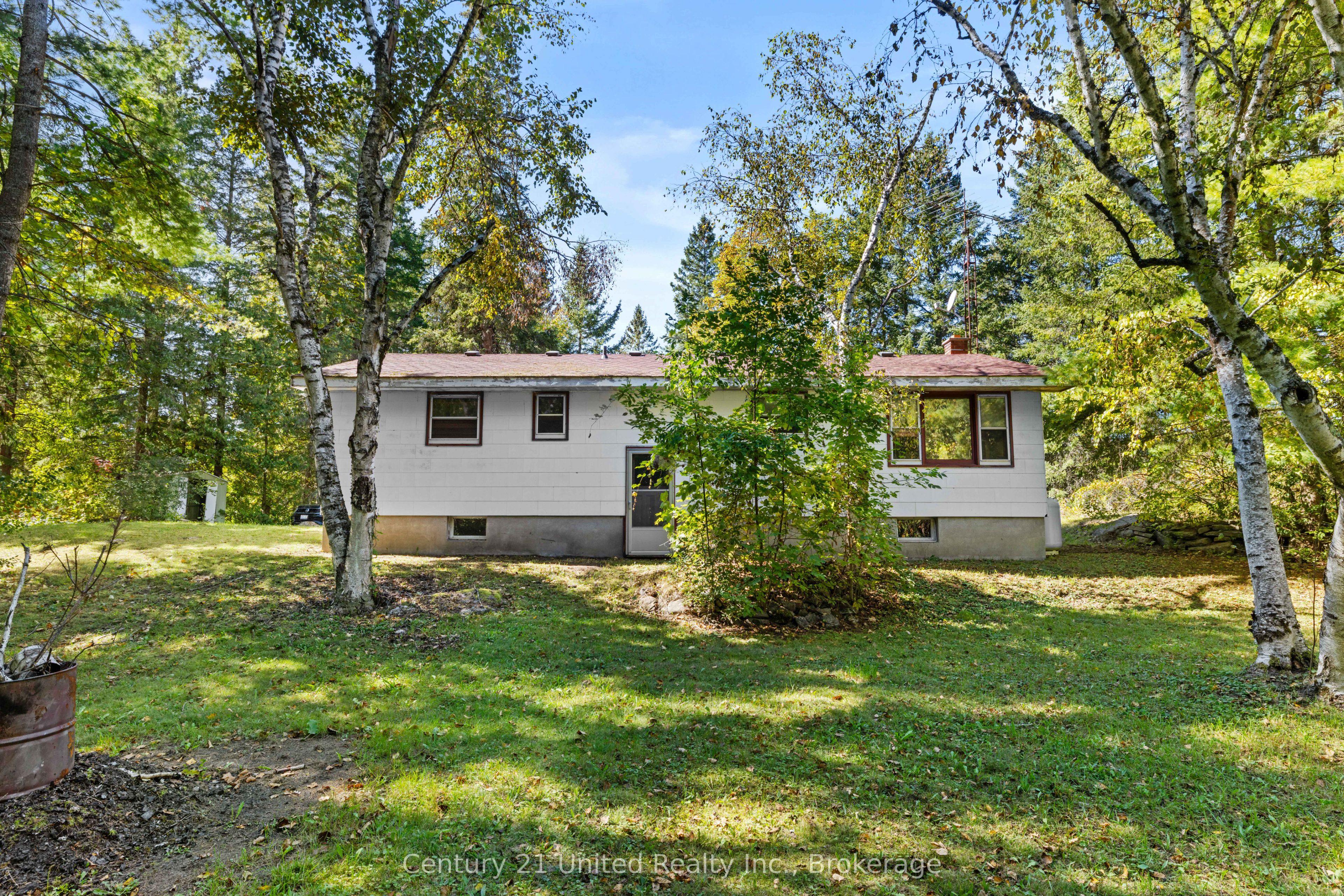 3795 Highway 28 Property Photo 4