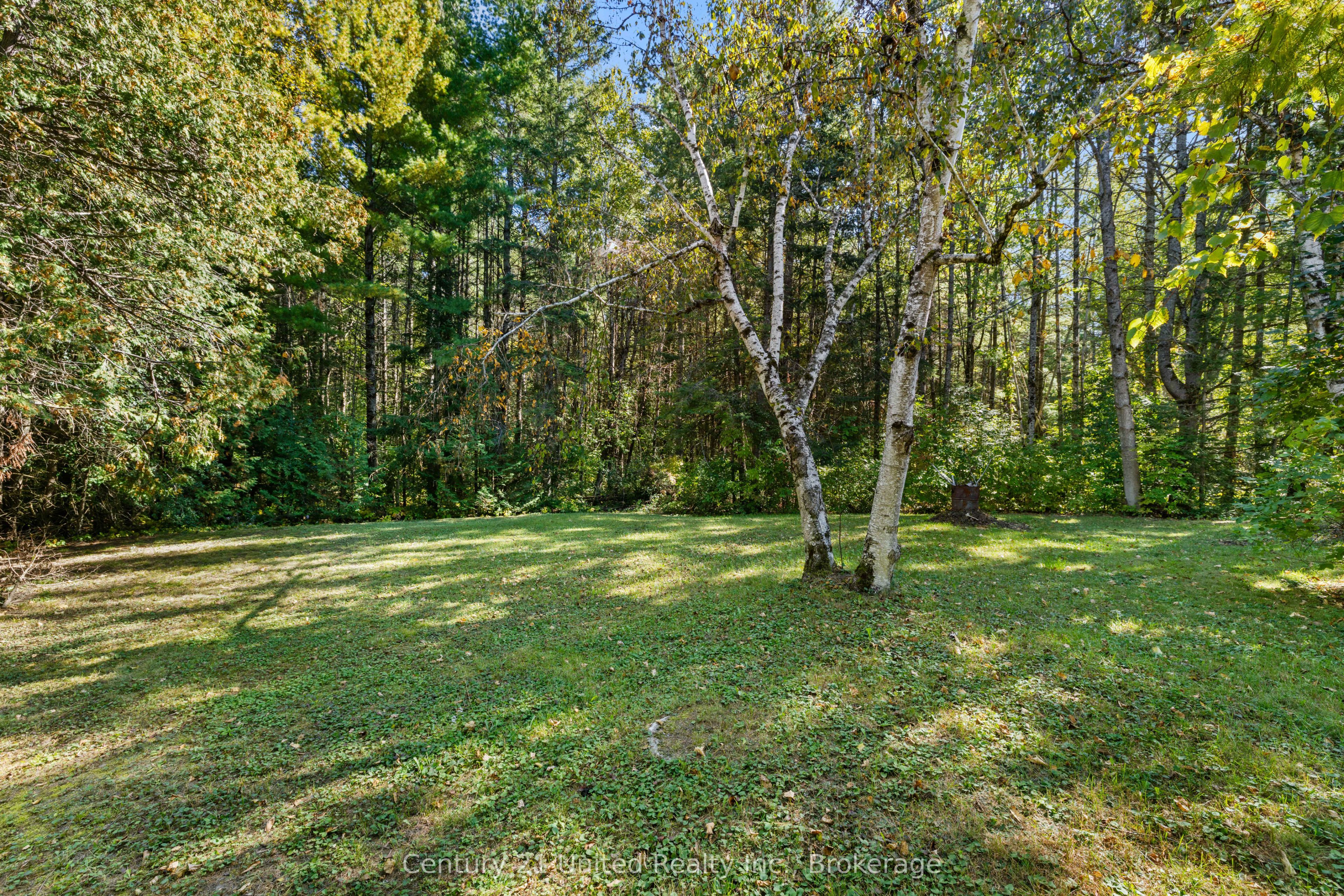 3795 Highway 28 Property Photo 5