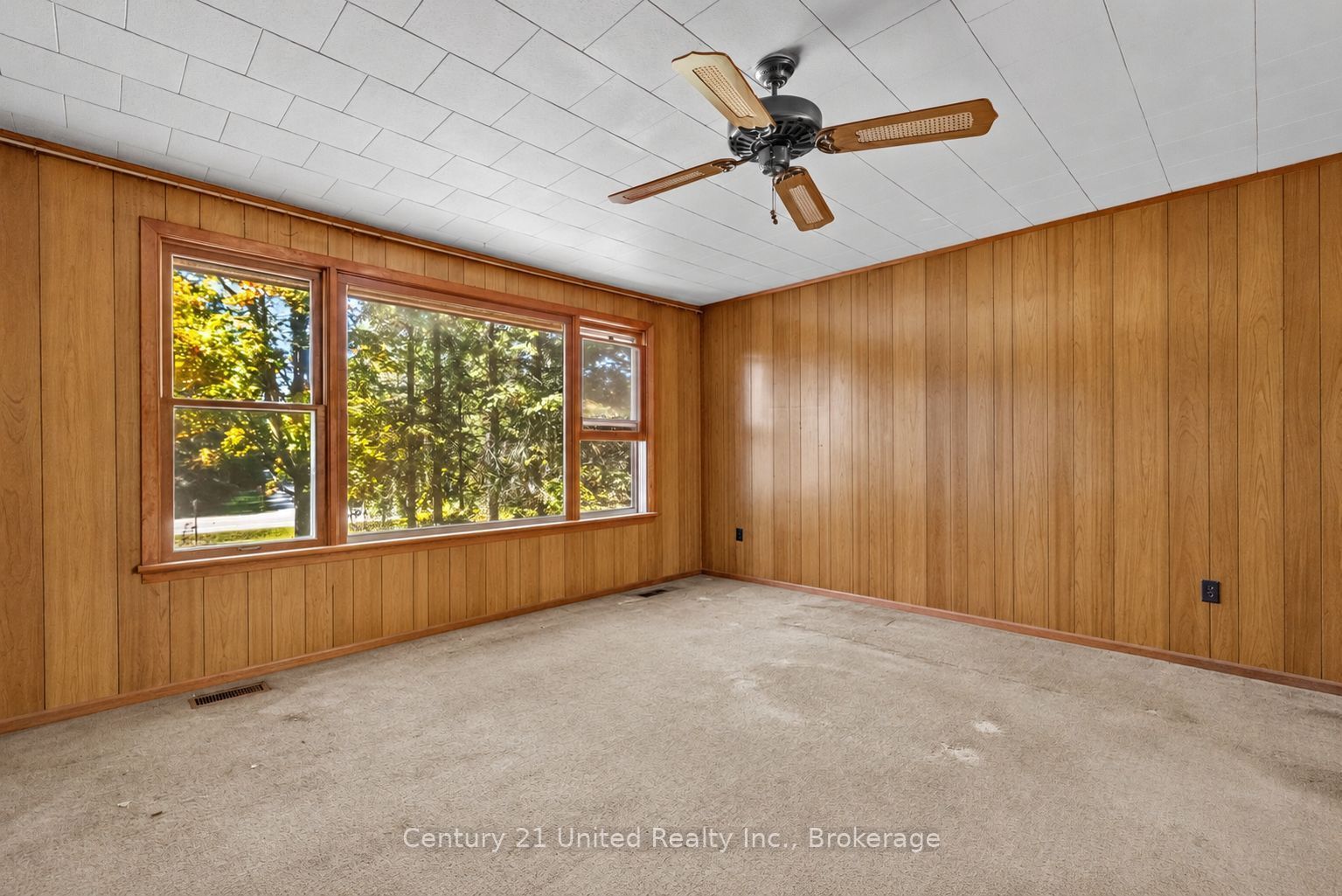 3795 Highway 28 Property Photo 8