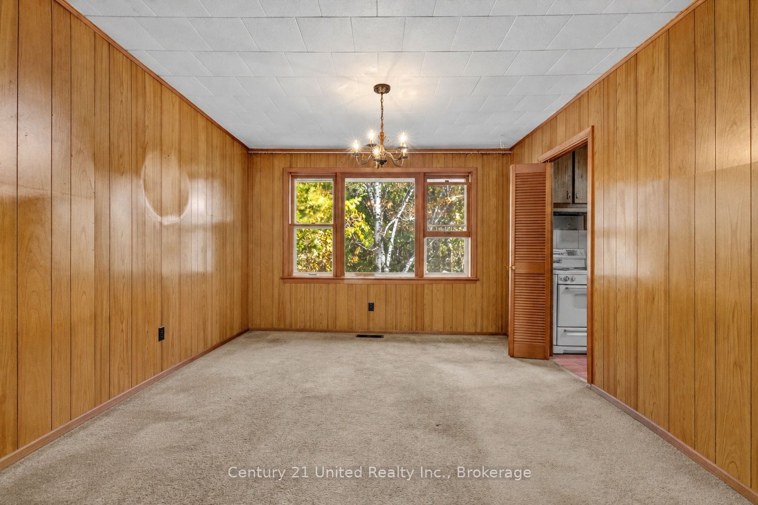 3795 Highway 28 Property Photo 10