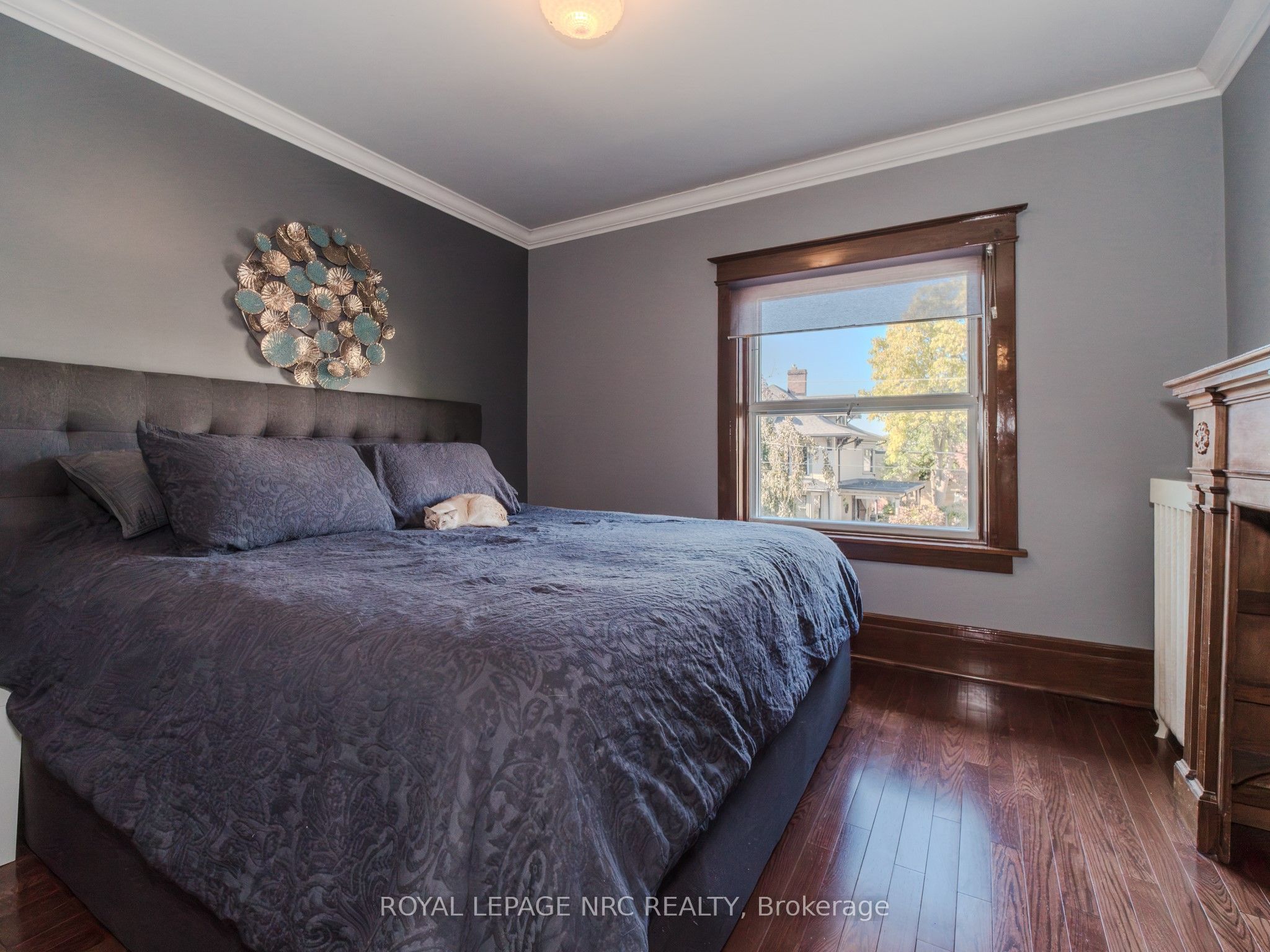 1 College Street Property Photo 14