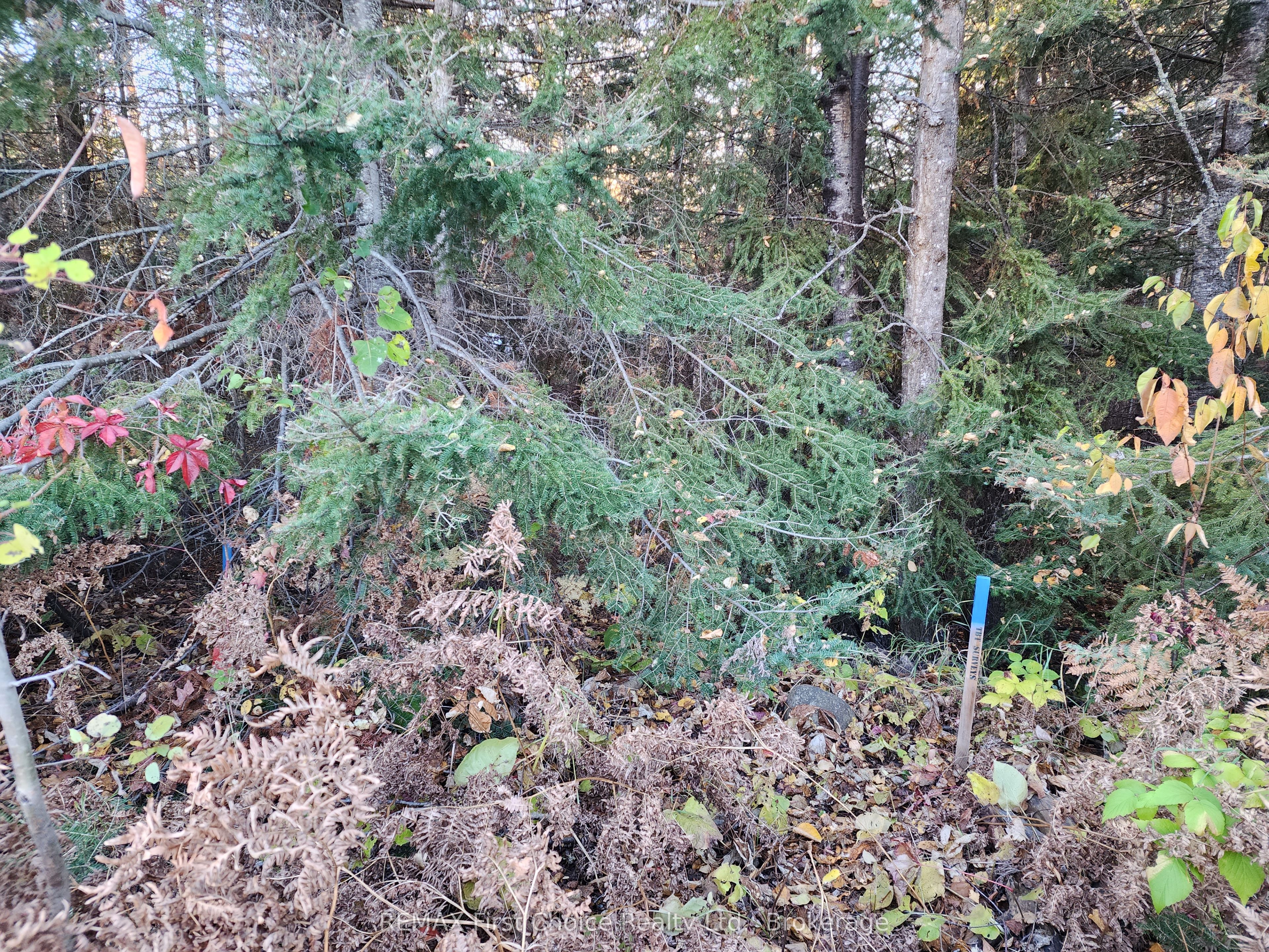 837 Hodder Avenue Property Photo 4